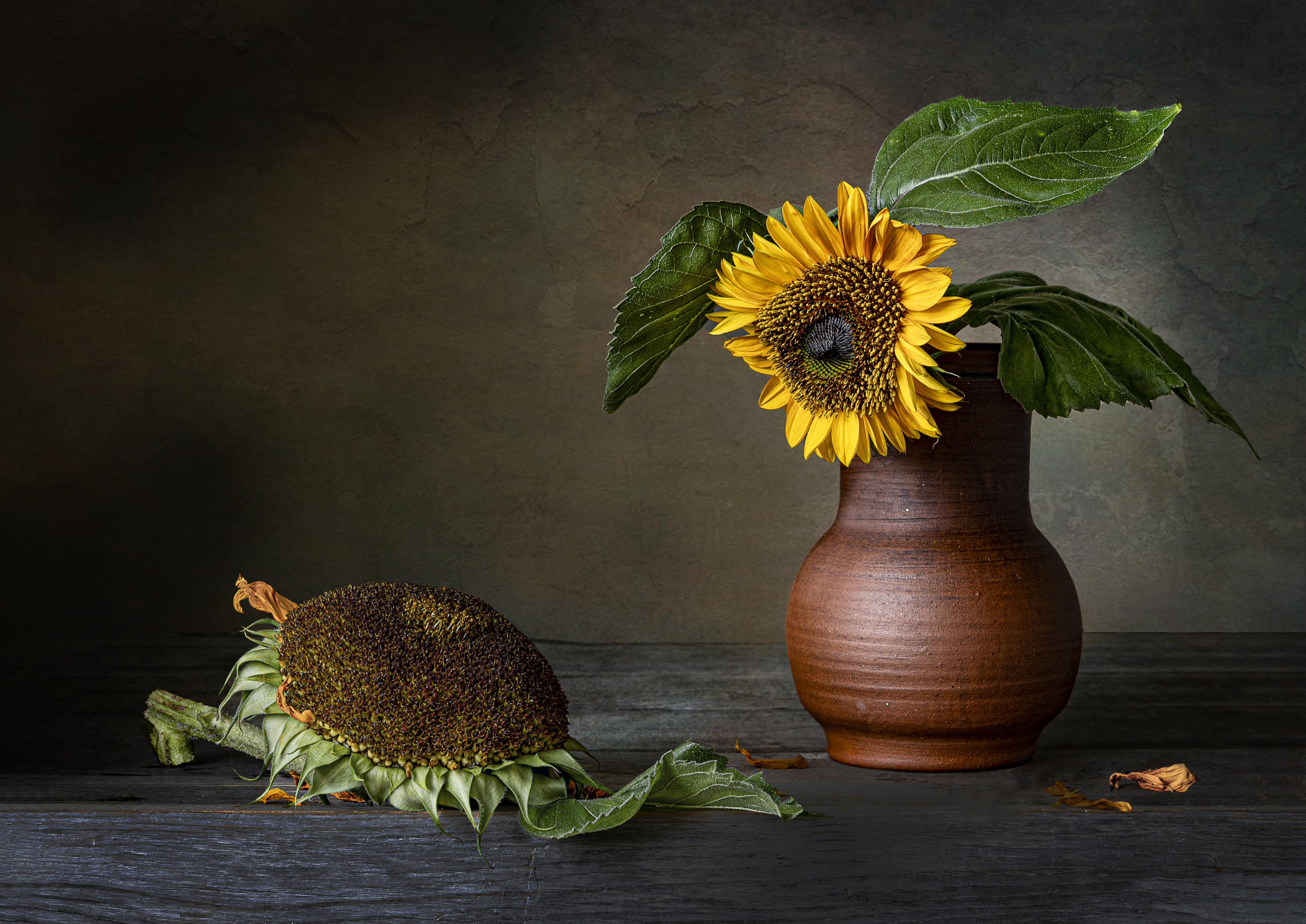 , Татьяна Попова