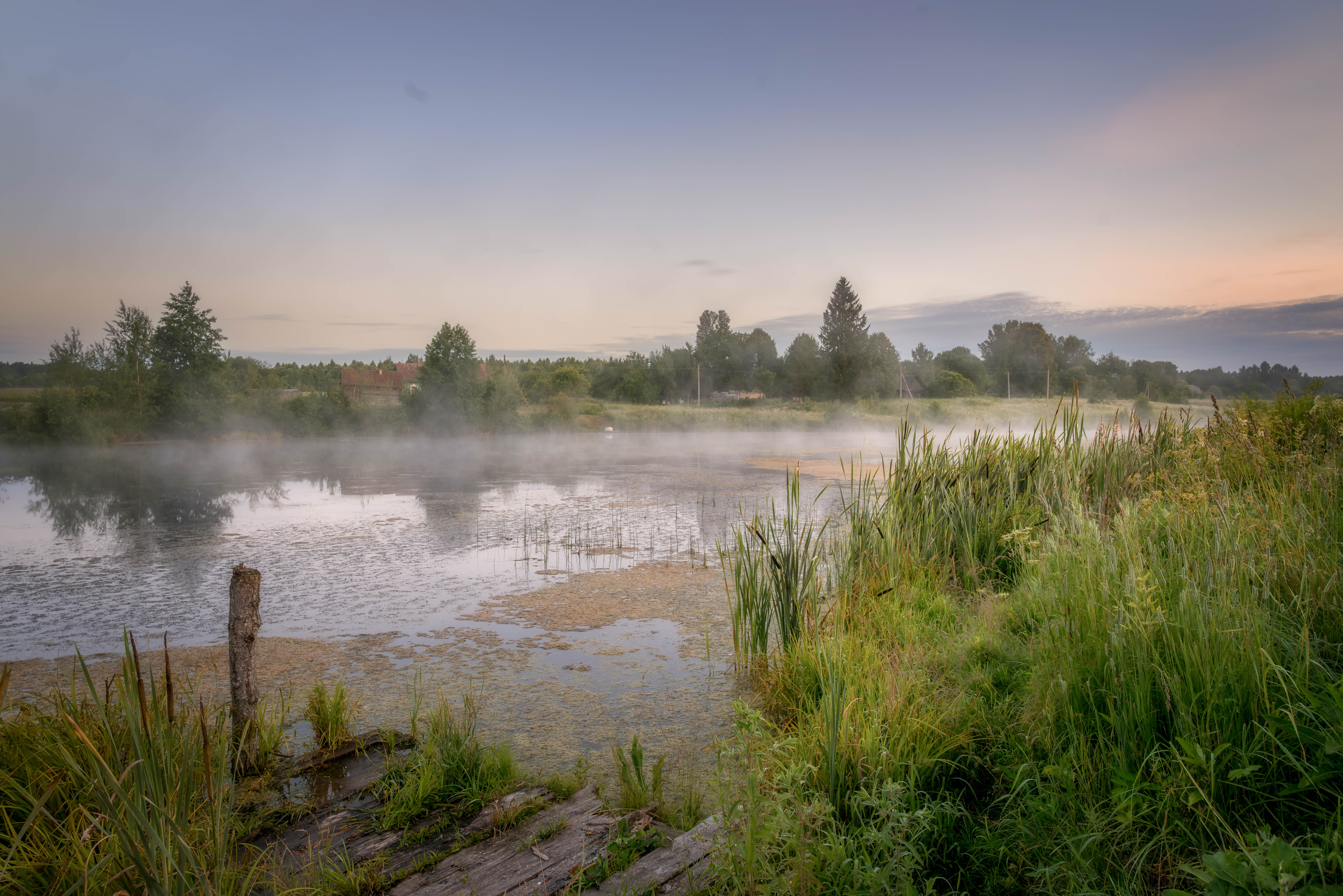 , Сережин Сережа