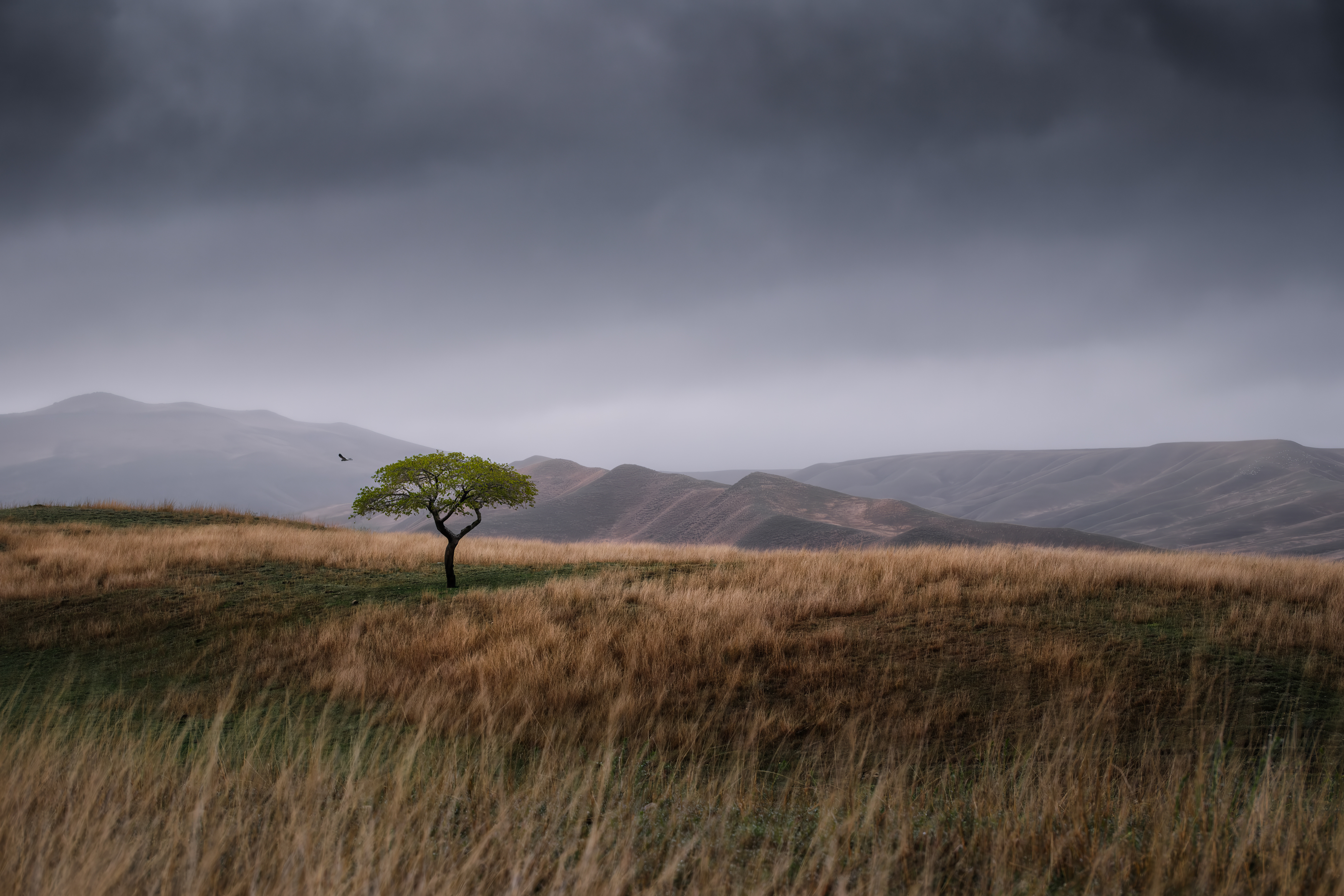 , Георгий Бычковский