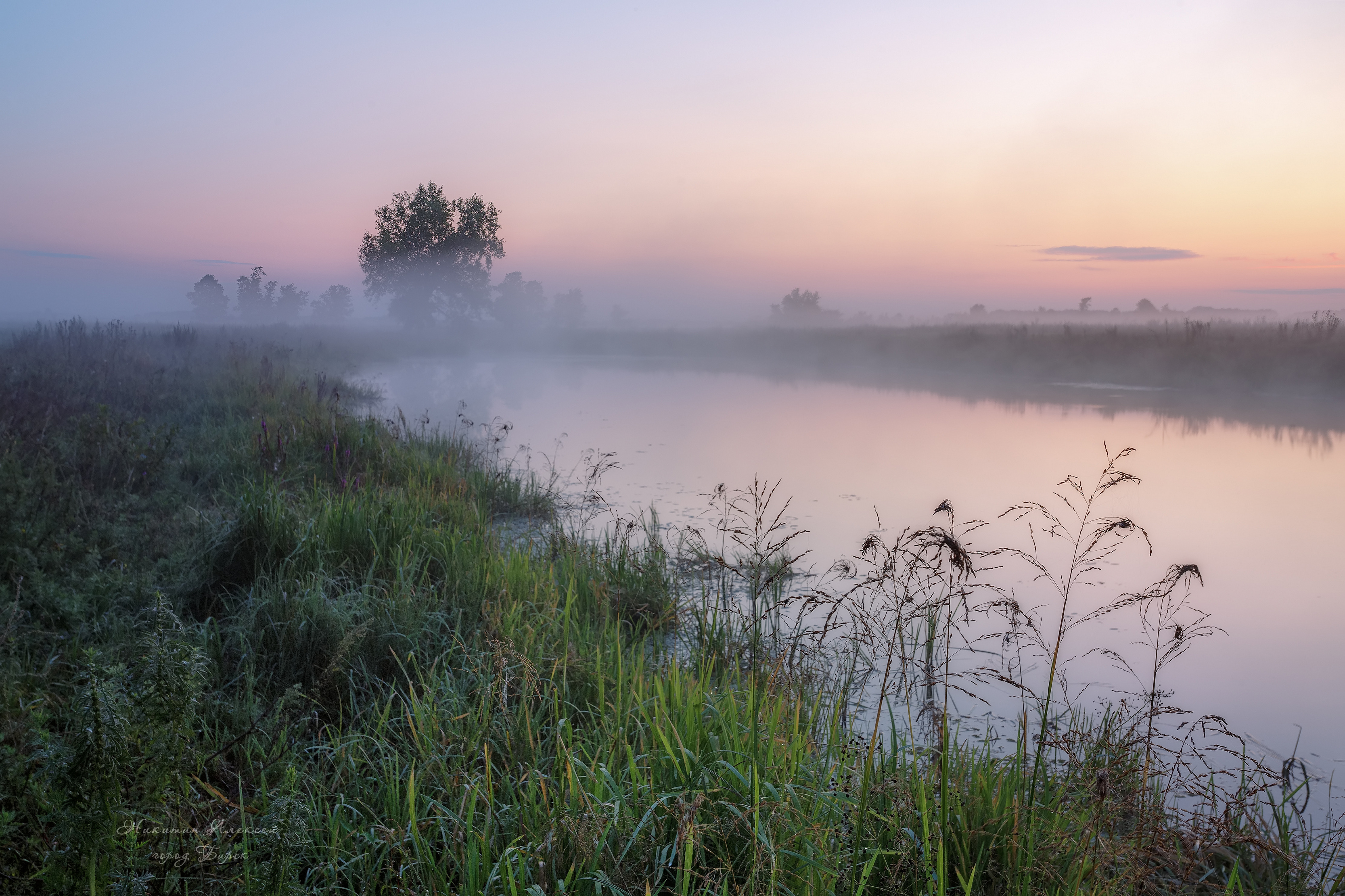 , Никитин Алексей