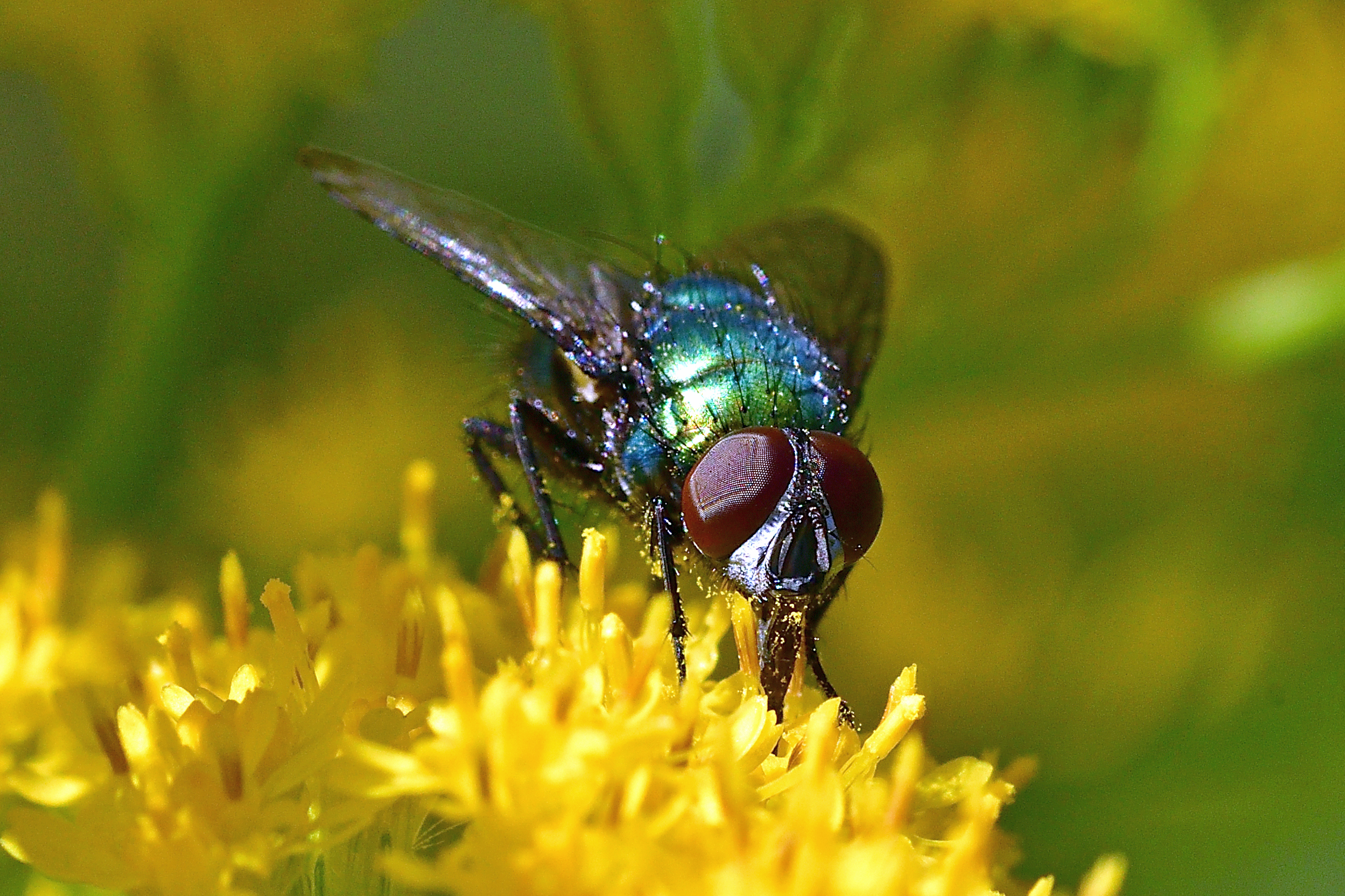 , Корнейчук Игорь