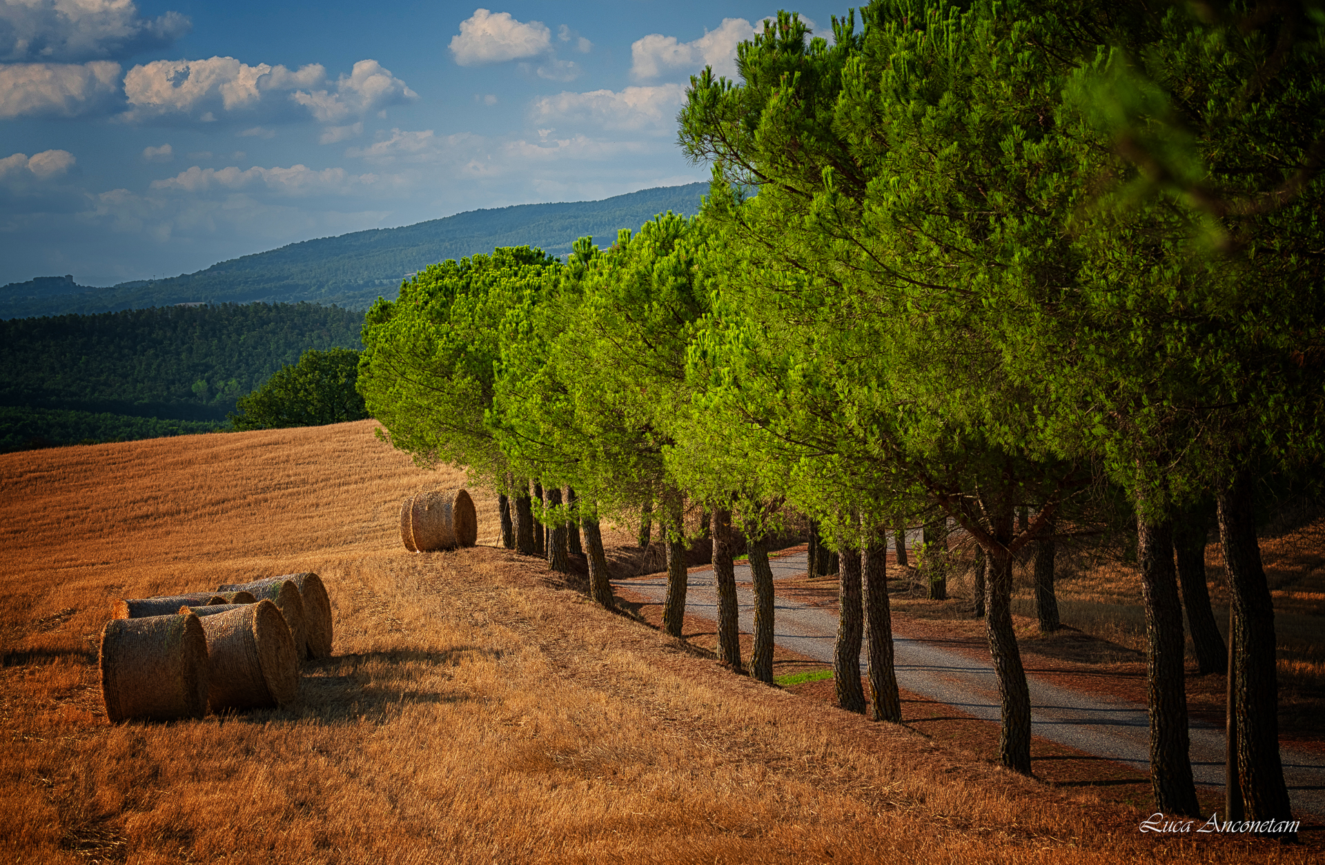 tuscany italy pienza landscape nature travel si, Anconetani Luca