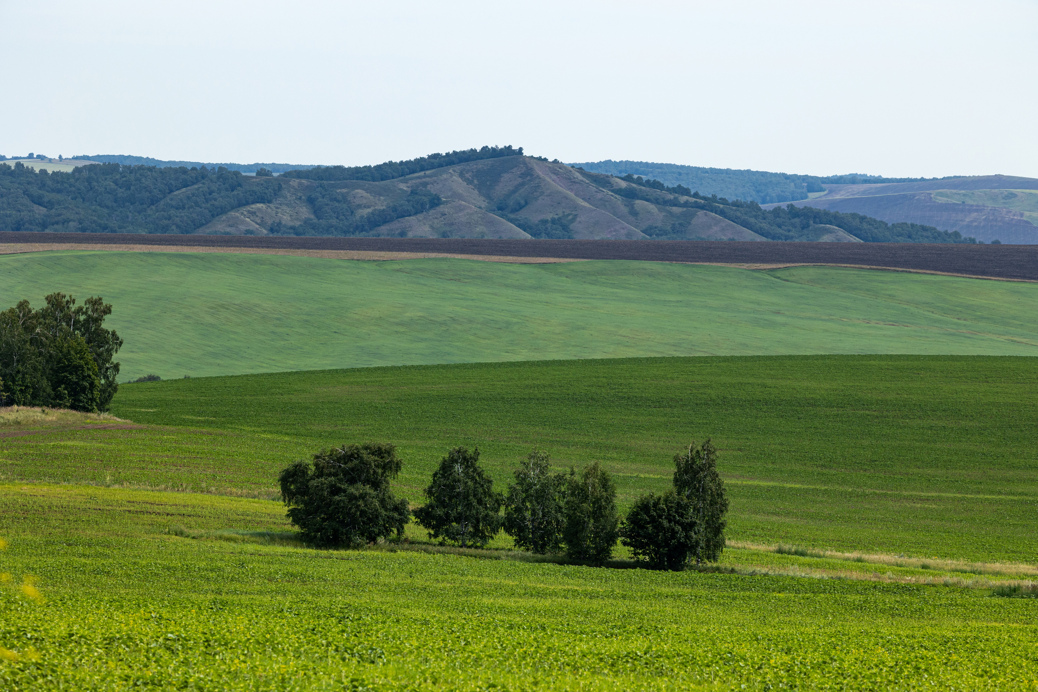 , Дмитрий Щепанов