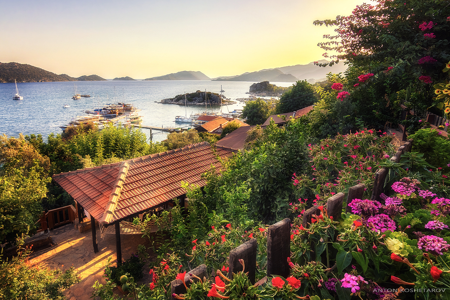 , Антон Кошетаров