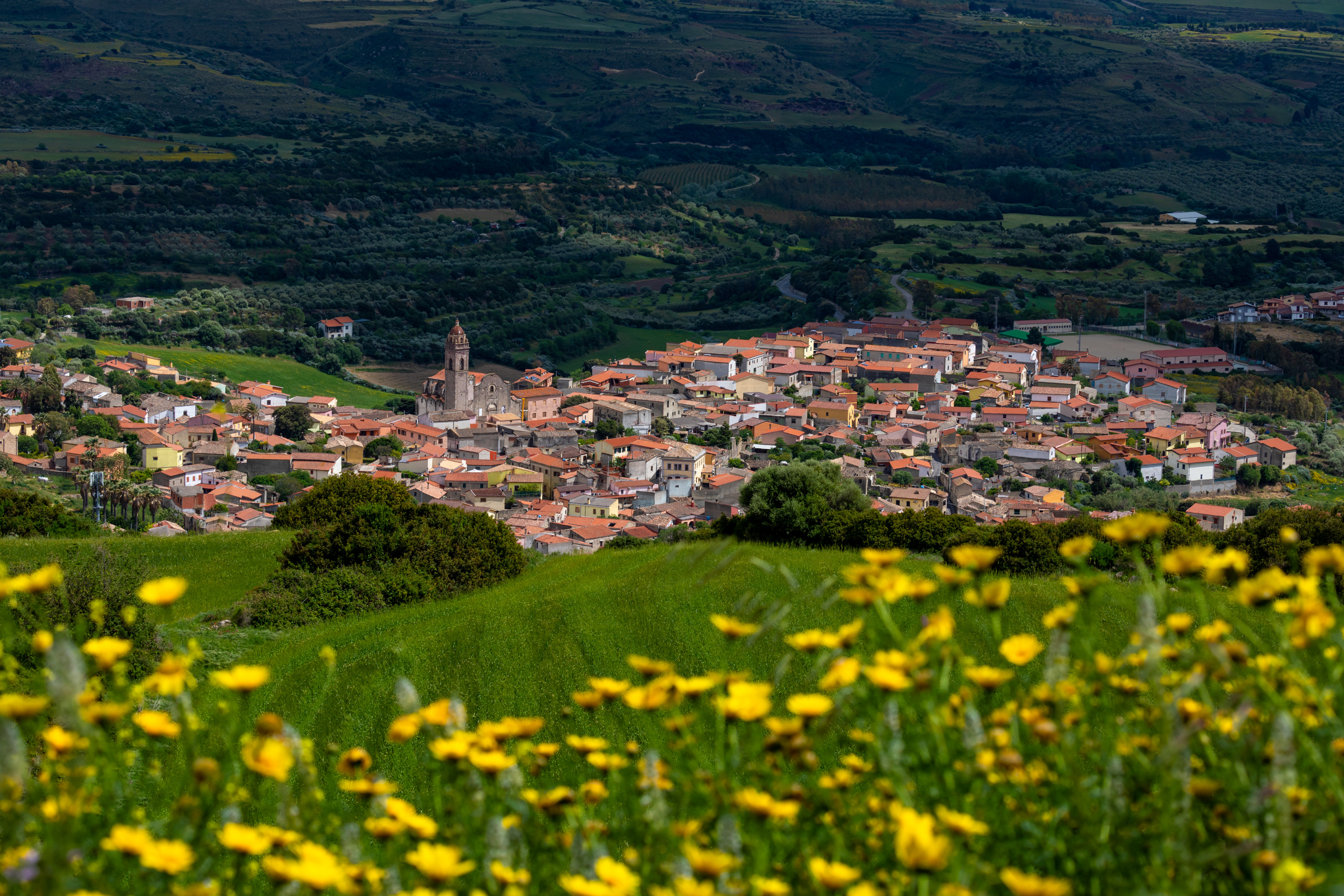 , Евгения Чех