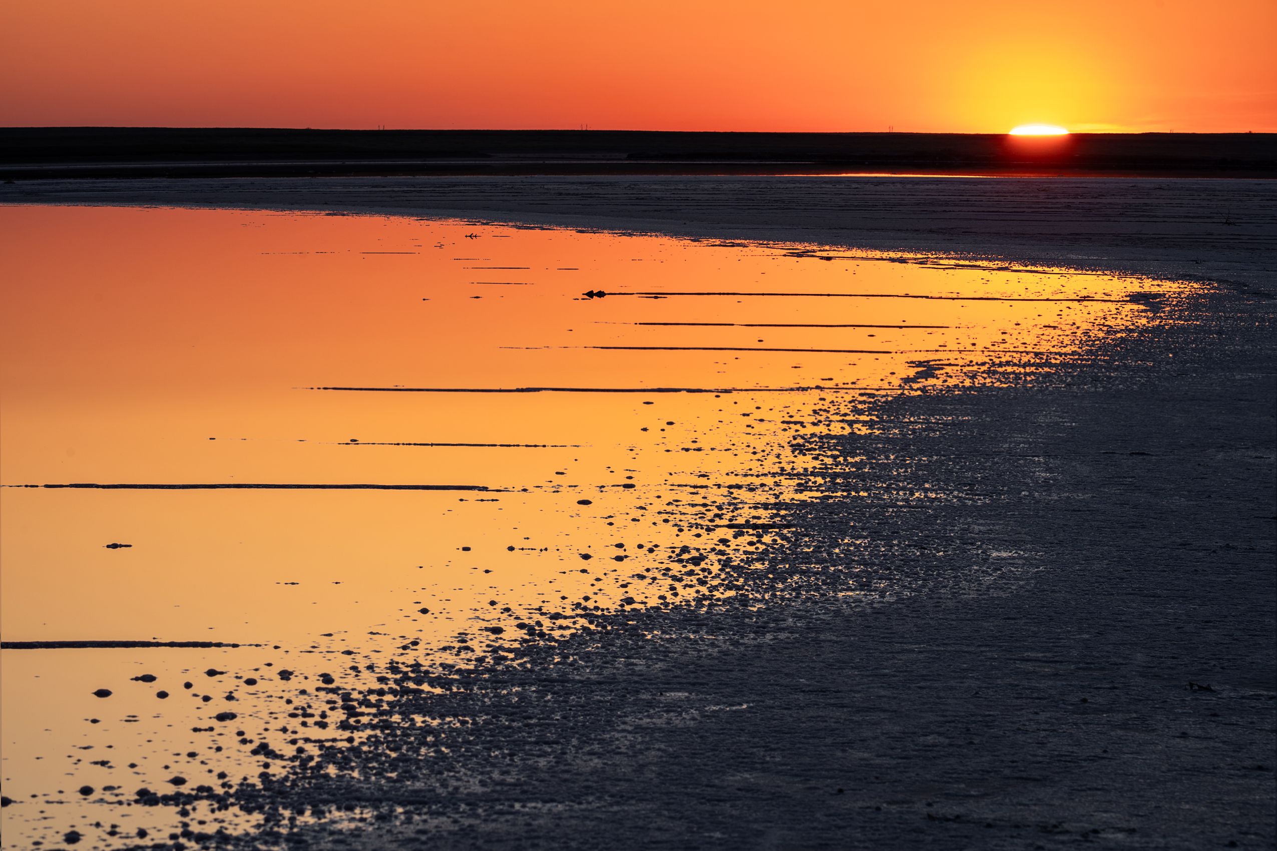 , Михаил Харитонычев