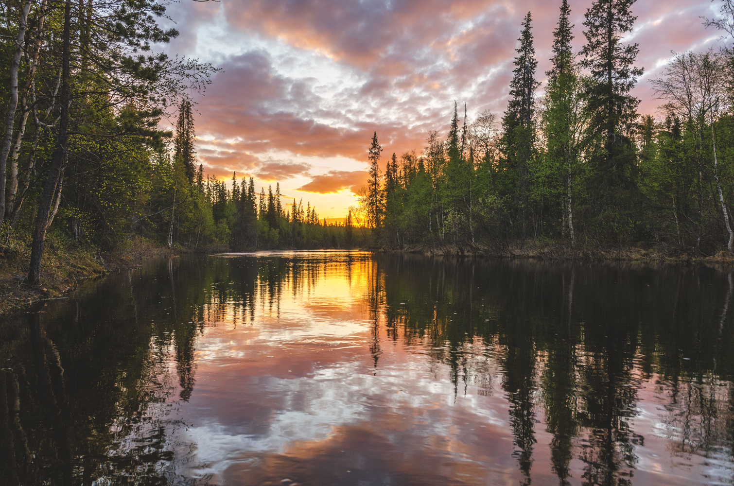 , Тихонов Сергей