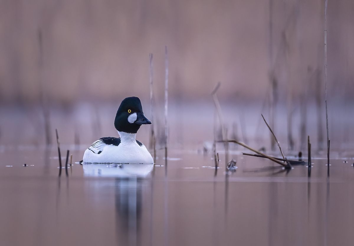 , Sławek Przybylski