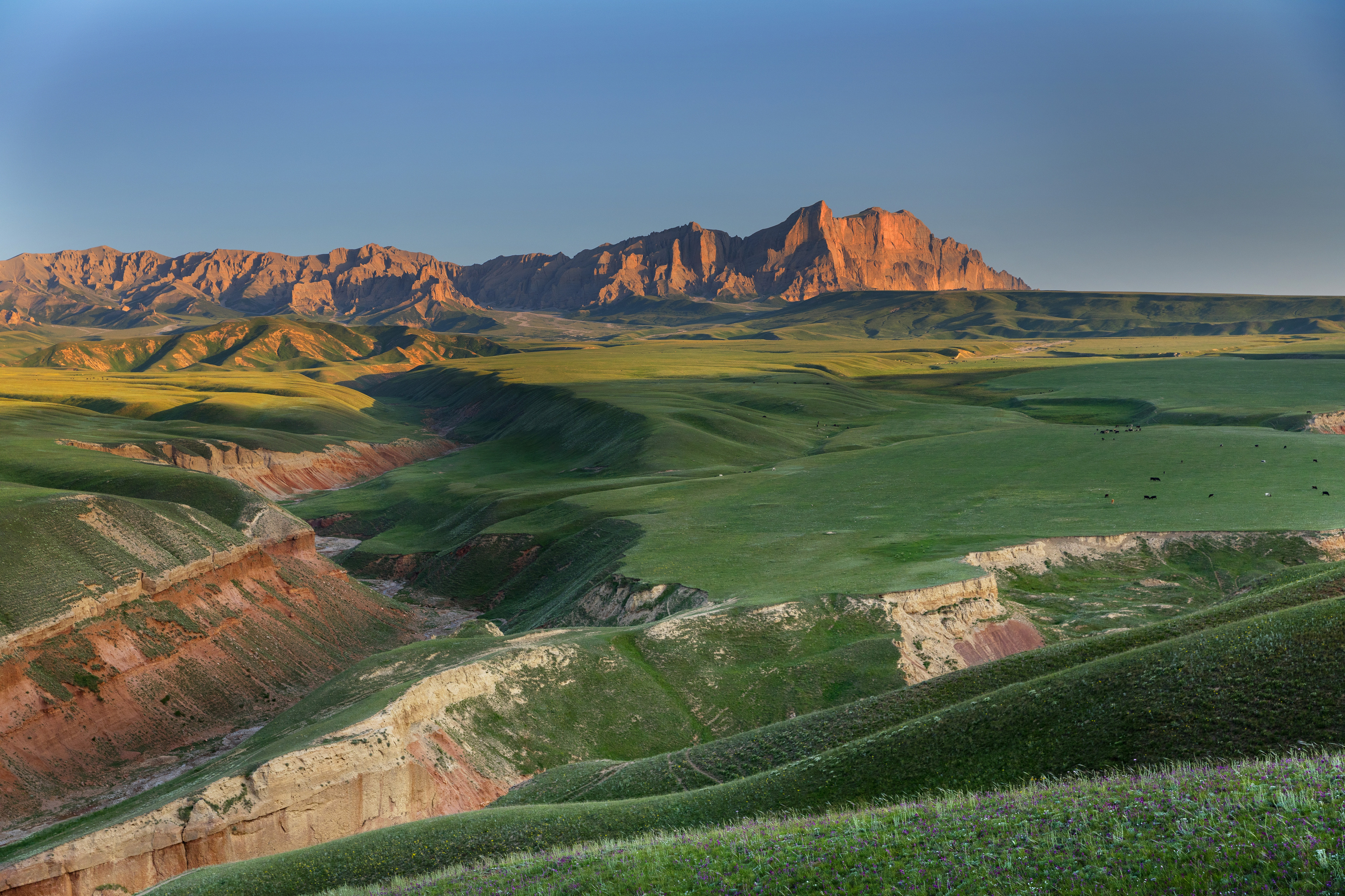 abashkinsergey, природа, forest, nature, пейзаж, колкагар, горы, кыргызстан, облака,  тяньшань, скалы, река,  киргизия,  перевал, Абашкин Сергей