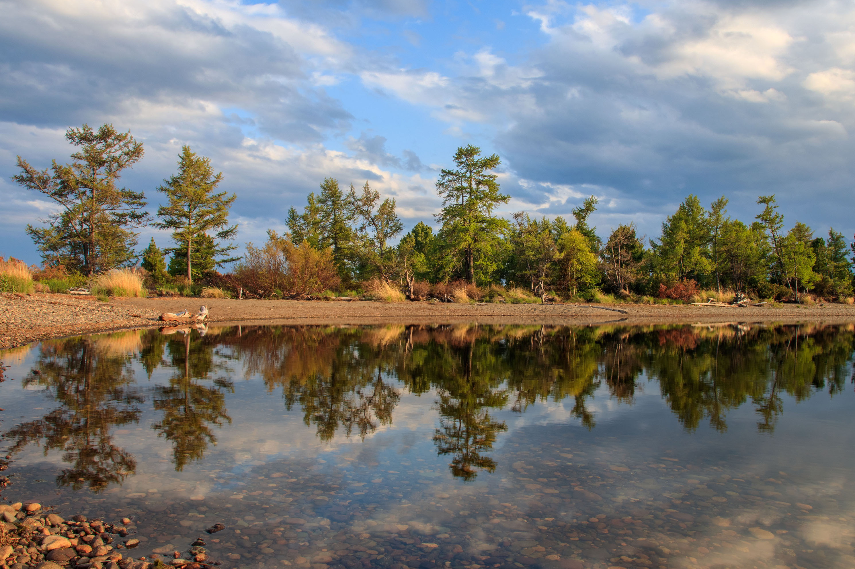 , Добролюбова Тамара