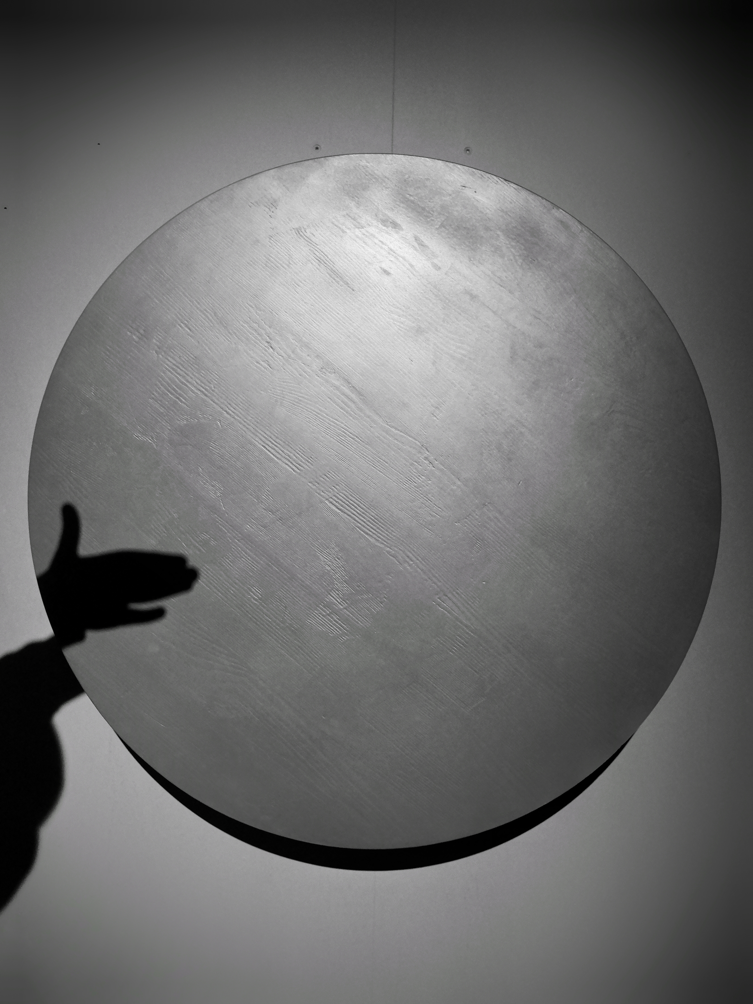 тень, история, Зорин Миша