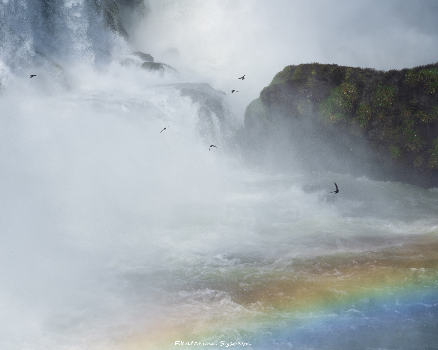 , Екатерина Сысоева