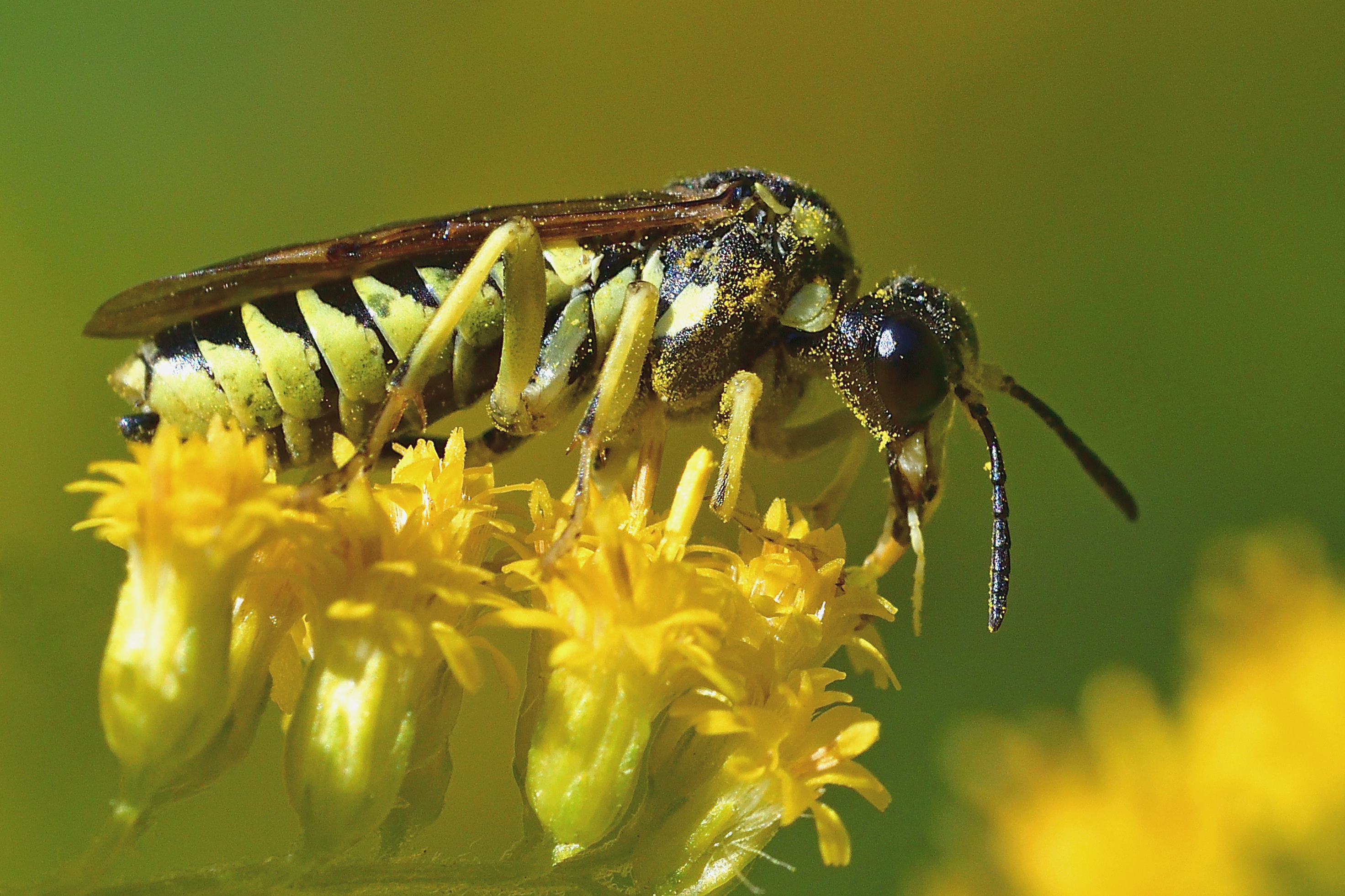 , Корнейчук Игорь