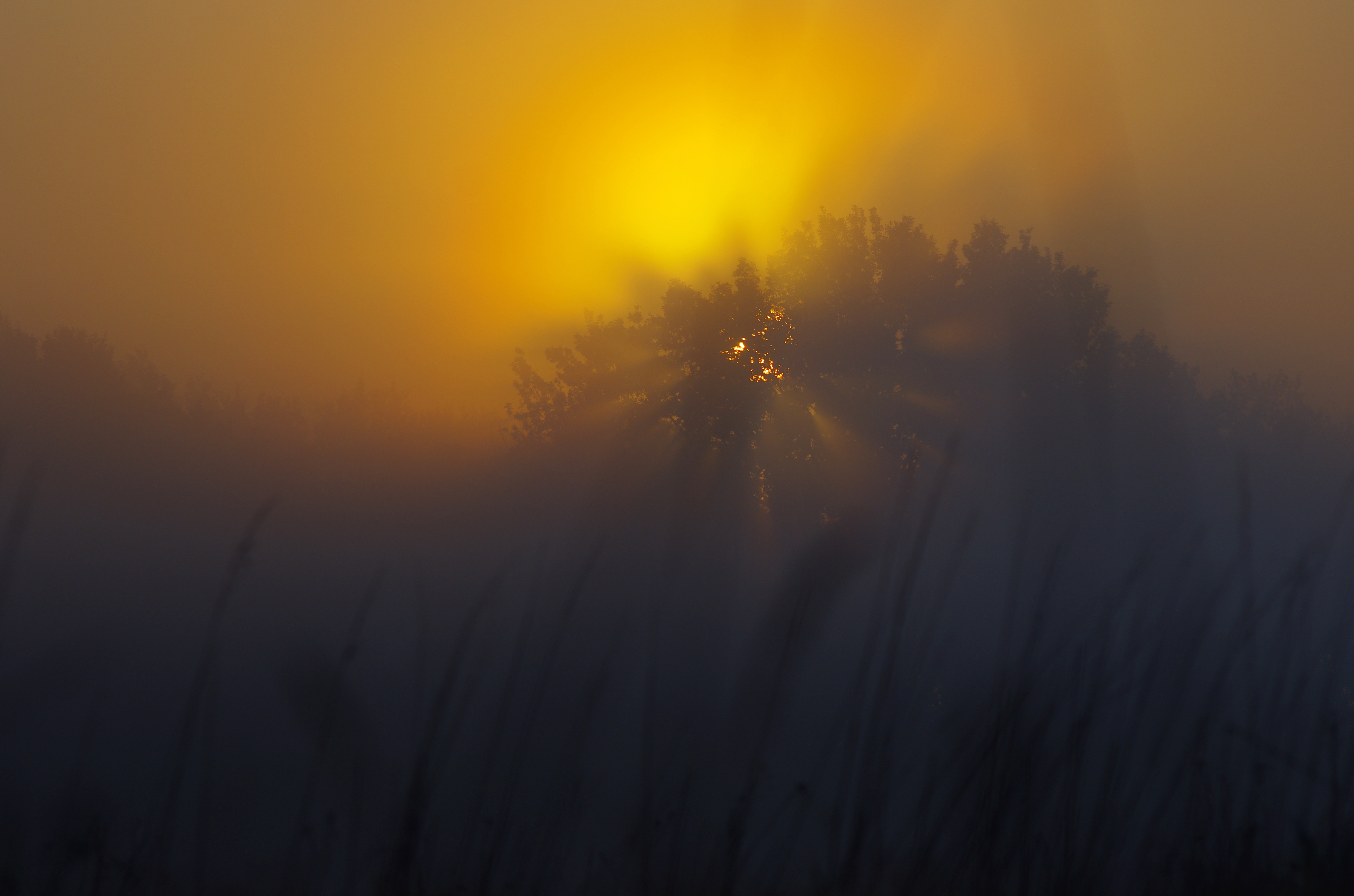 , Шляга Сергей