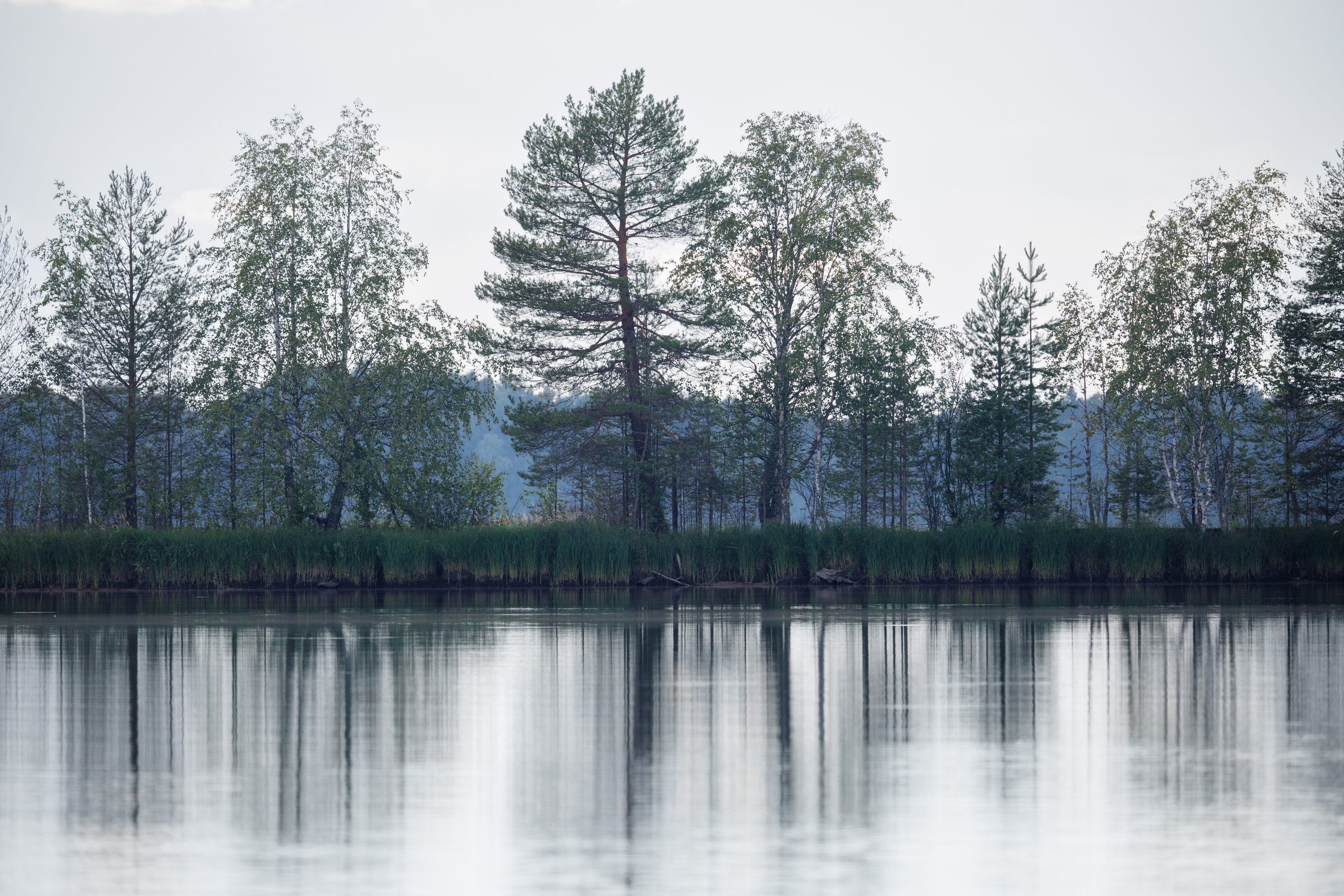 , ssmirs Сергей