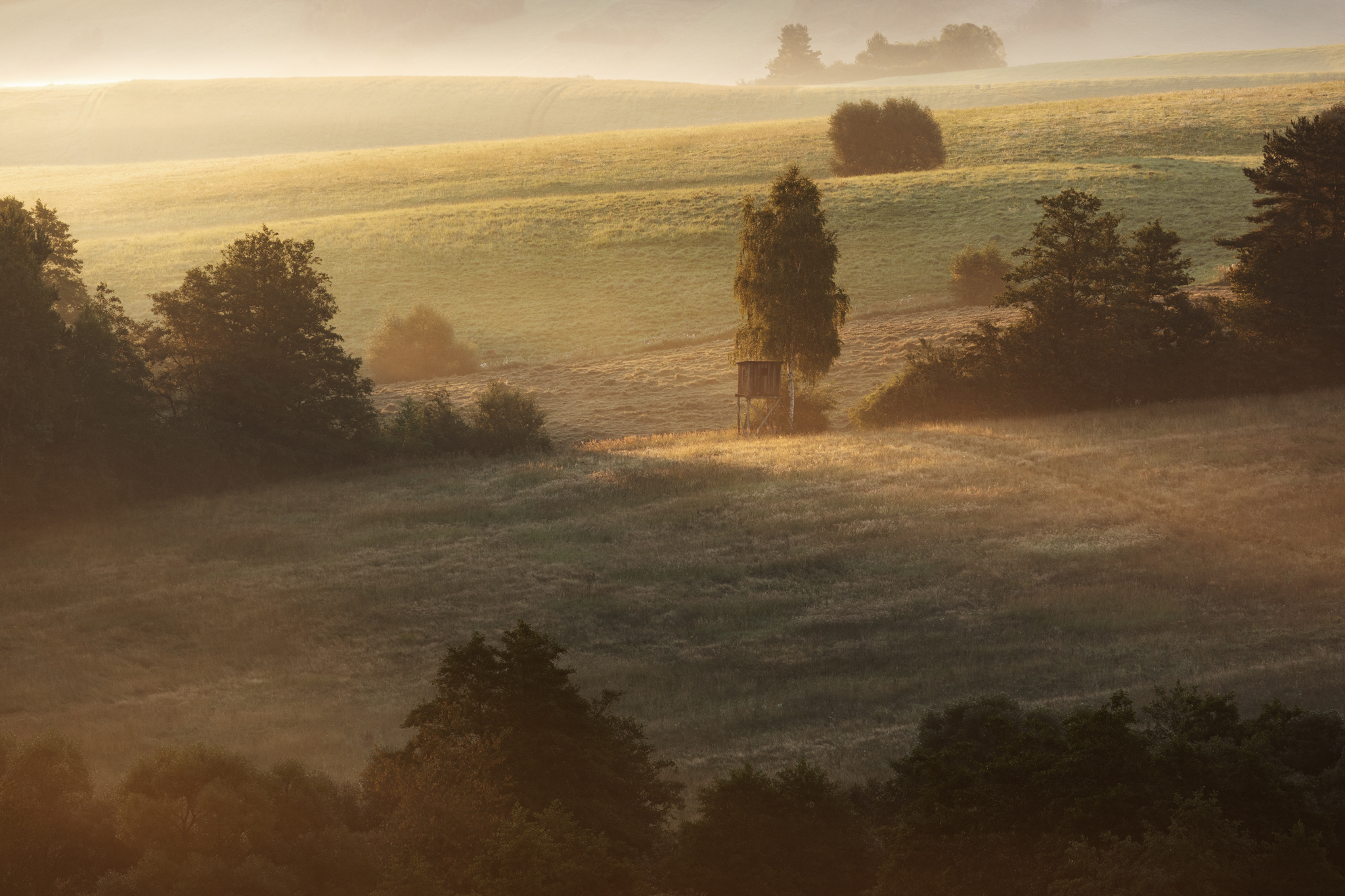 ,  Mirosław Pruchnicki