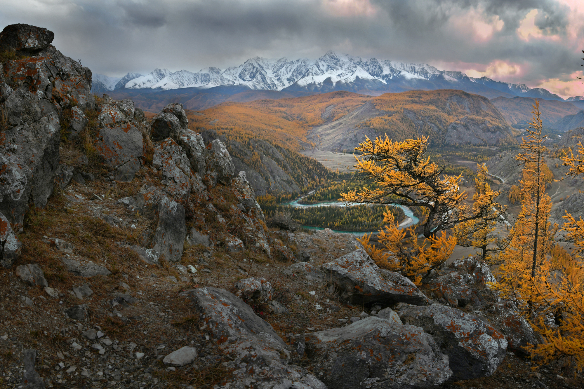 , Крат Светлана