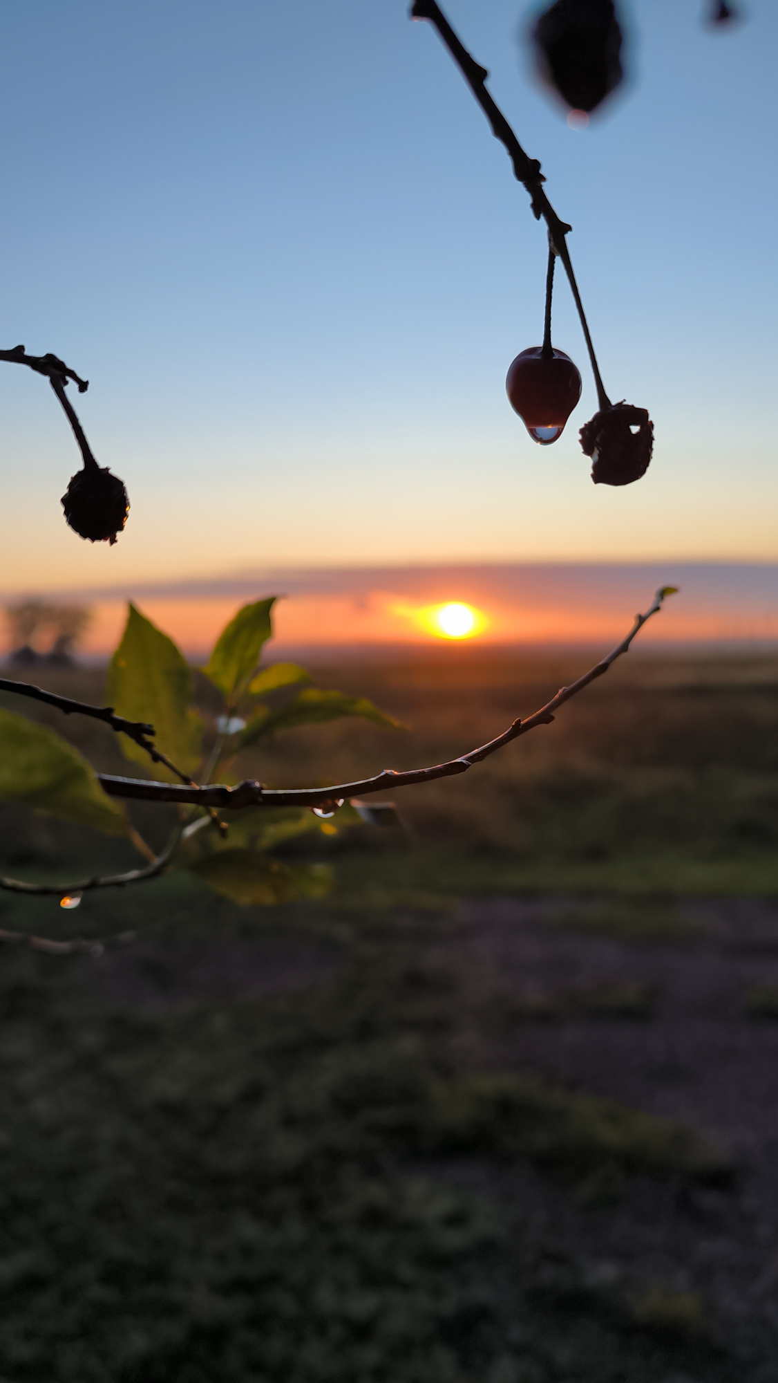 закат пейзаж, Лариса Белякова