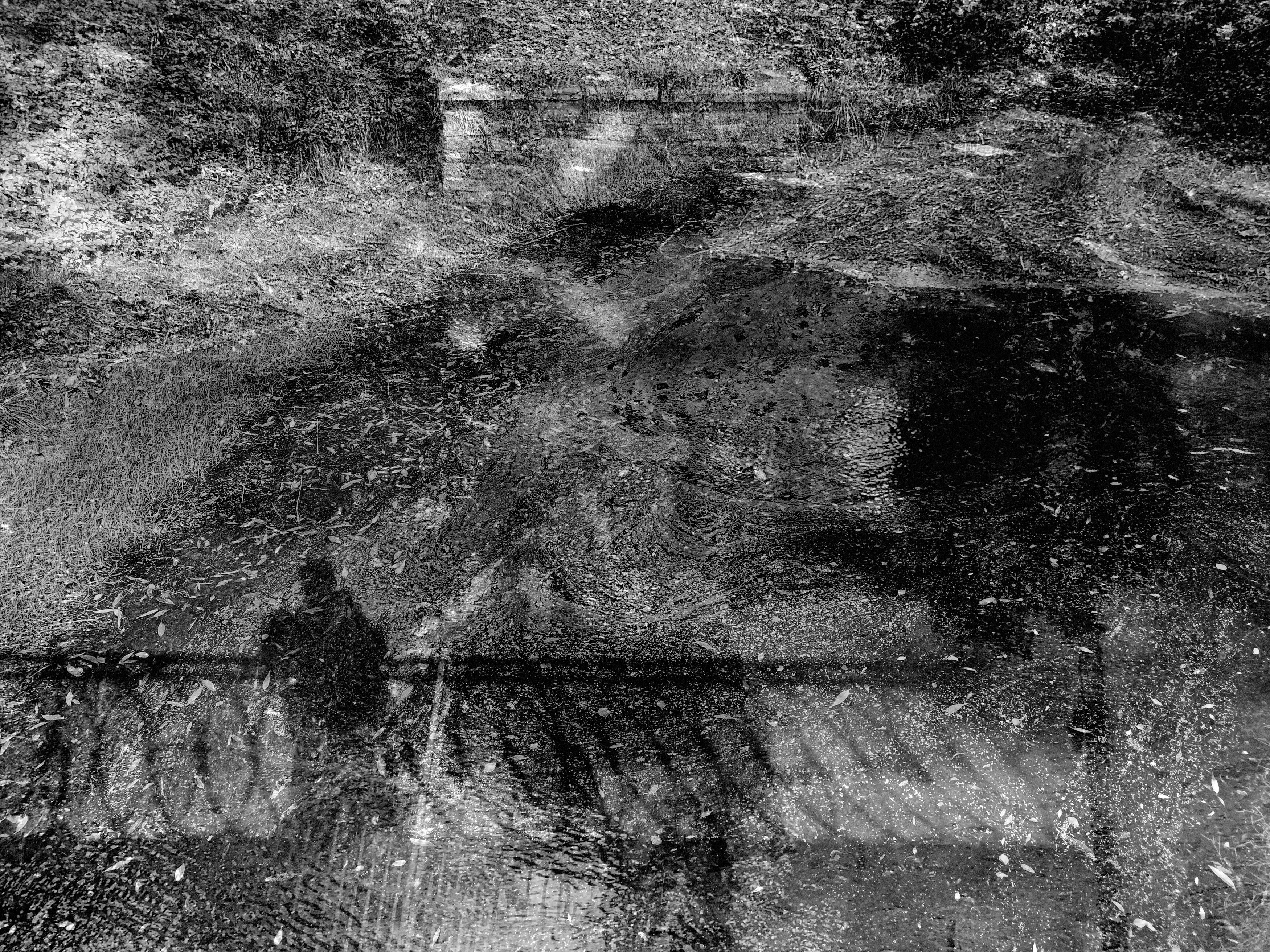 , Антон Лаба