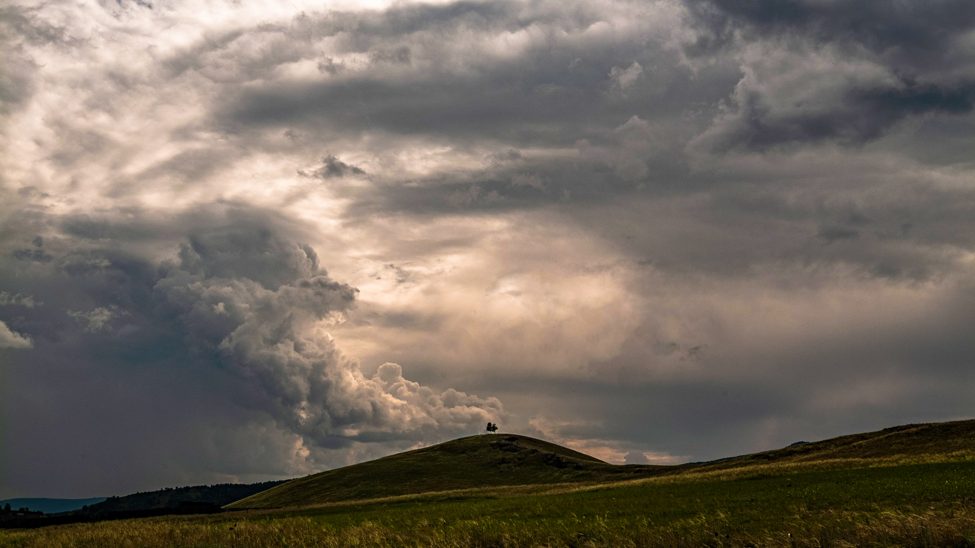 , Шустиков Дмитрий