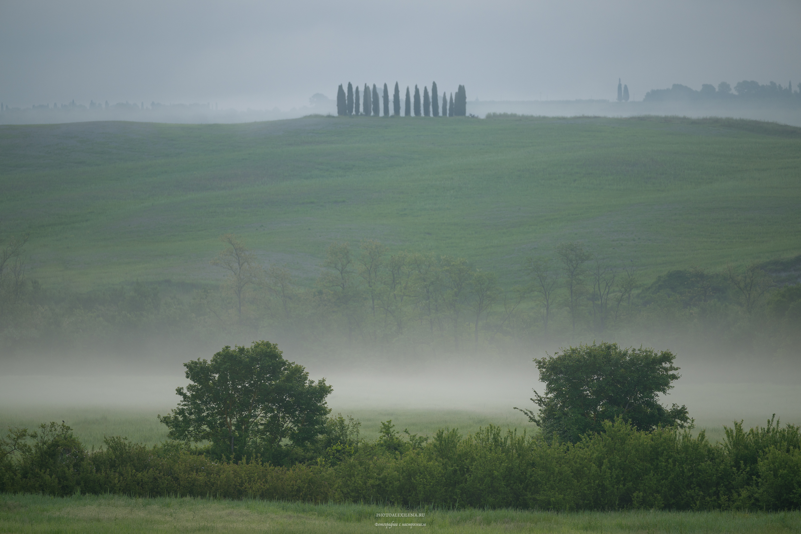 Тоскана, туман, италия, утро, кипарисы, пейзаж, Александр Константинов