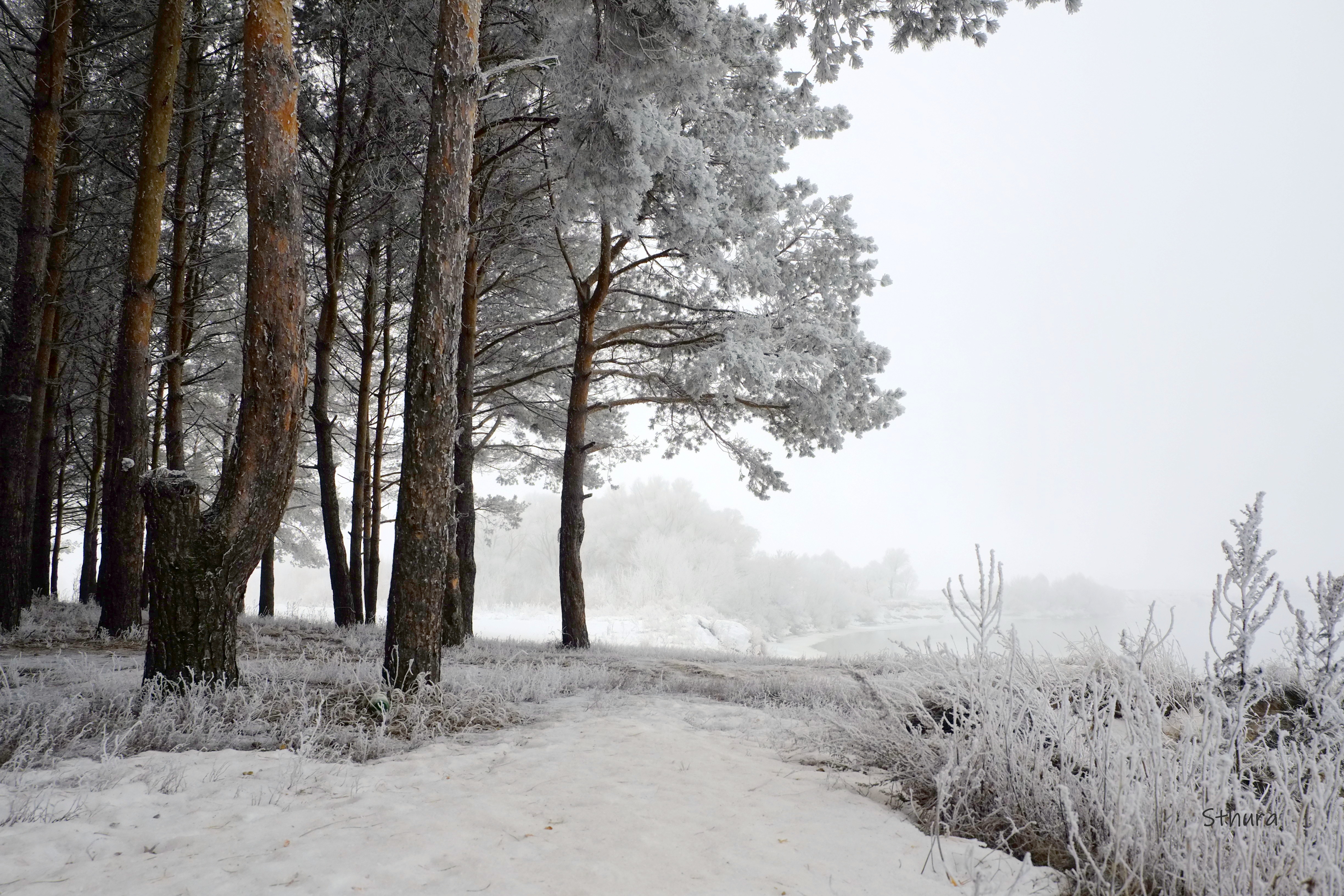 зима лес туман иней река природа пейзаж, Александр Строков