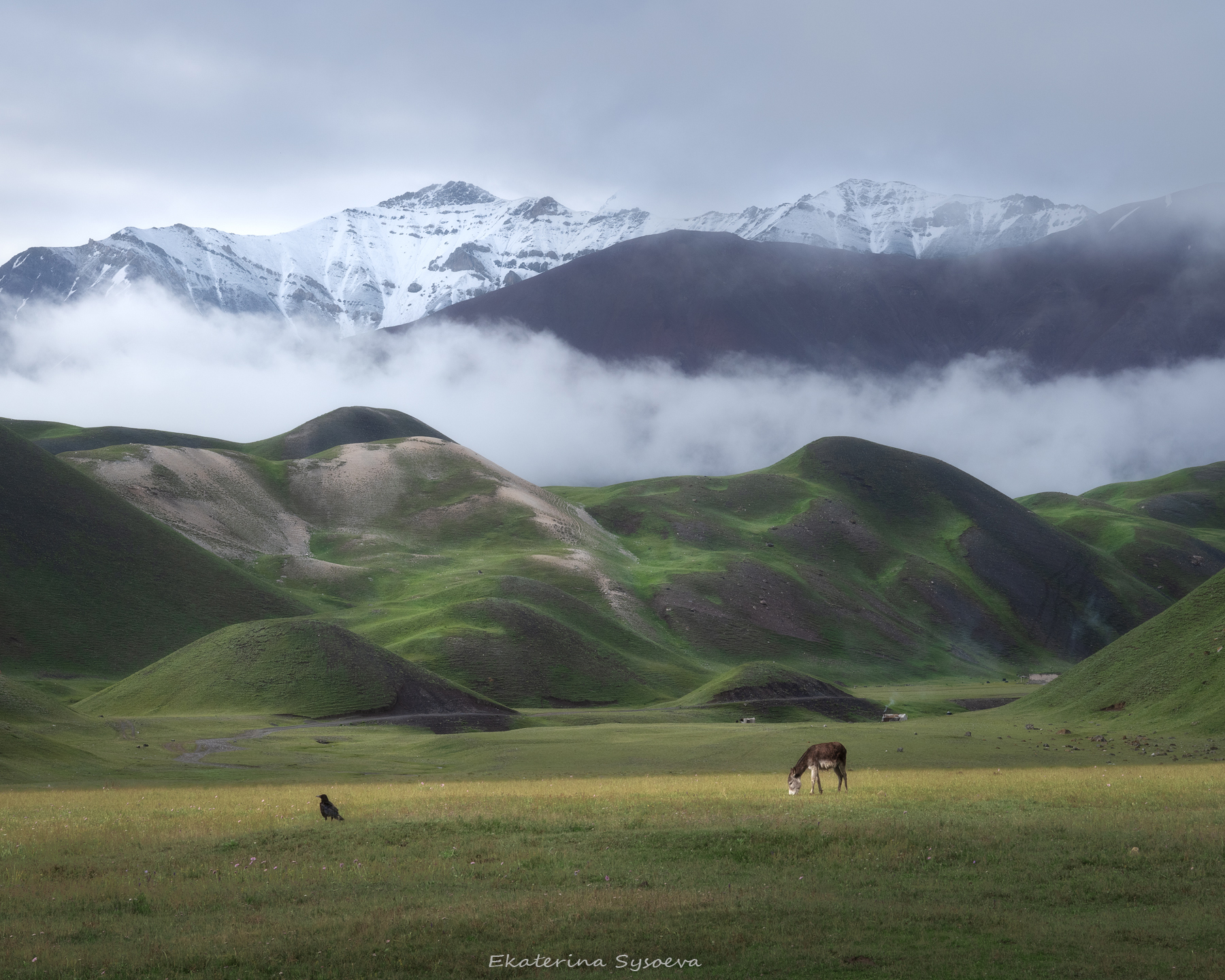 , Екатерина Сысоева