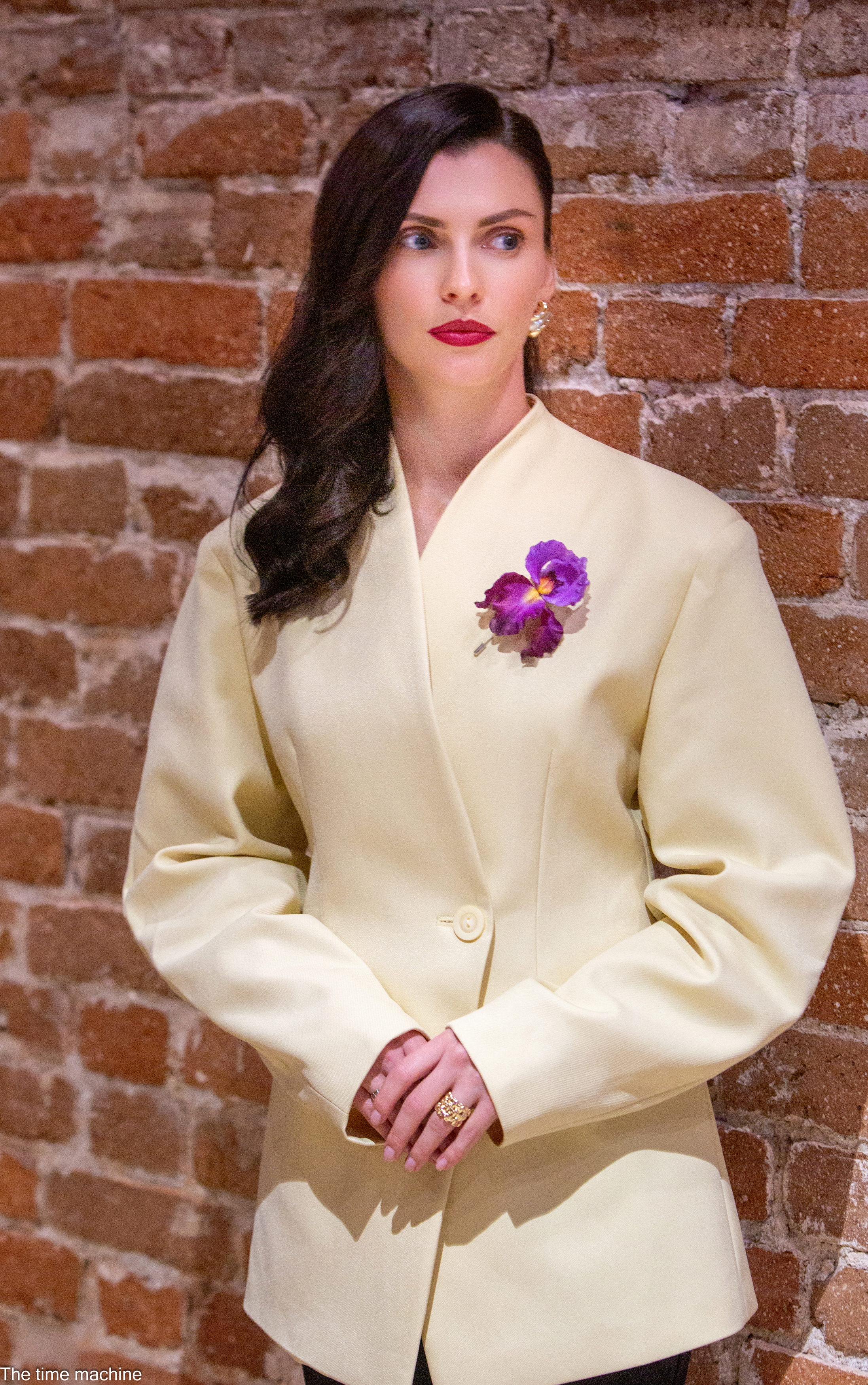 , Михаил Бове