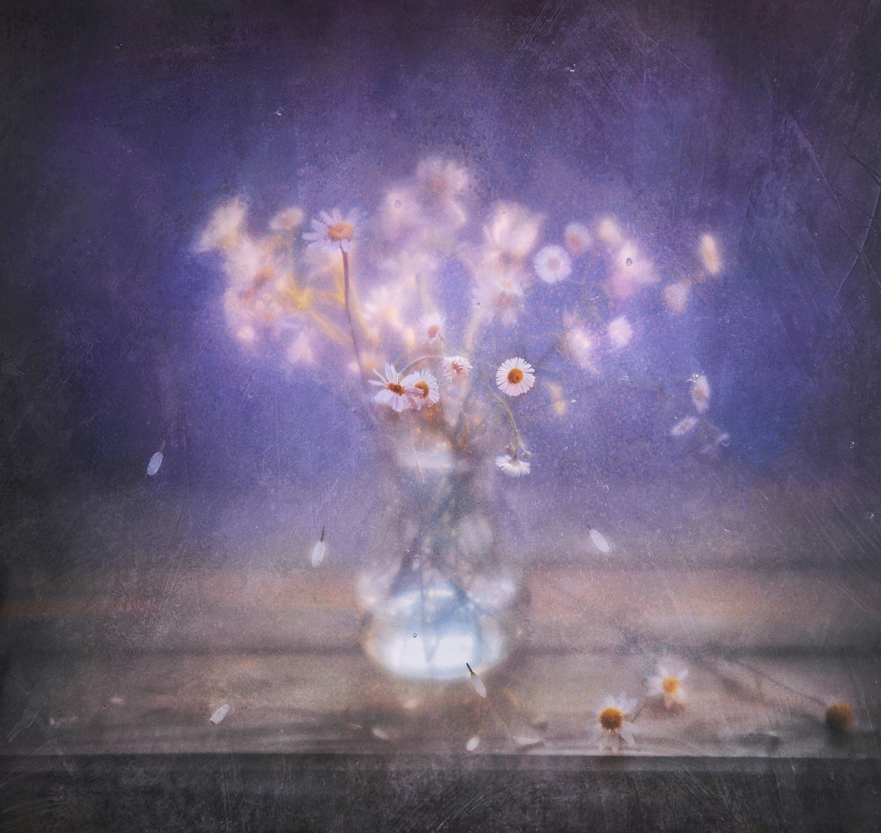 натюрморт, лето, букет, цветы, луг, still life, flowers, summer , Буглак Инна