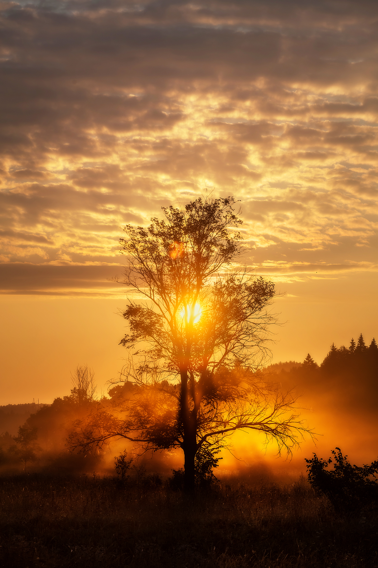 , Lozhkin Vyacheslav