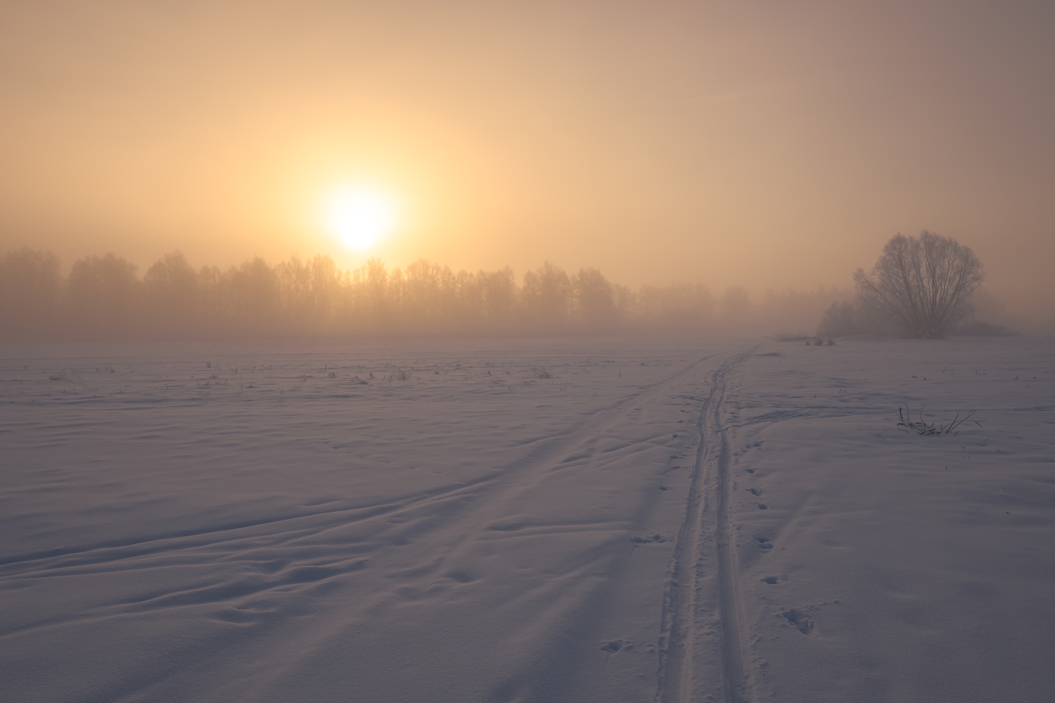 , Григорьев Константин