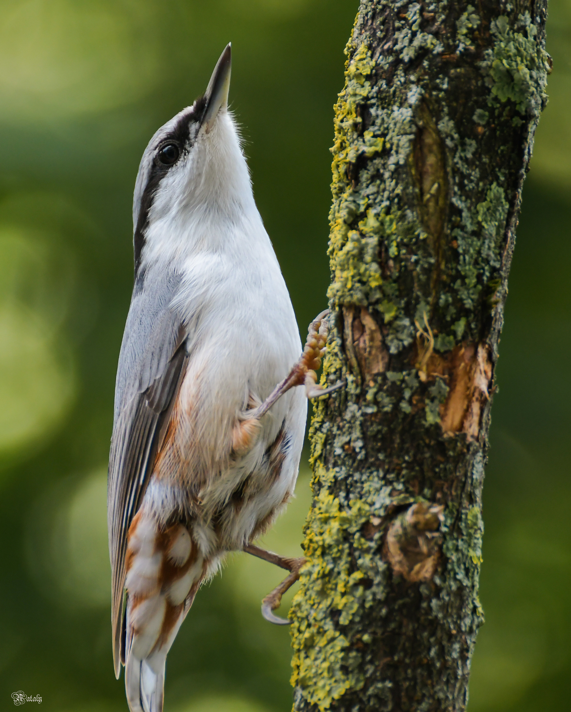 , Наталья Екимова