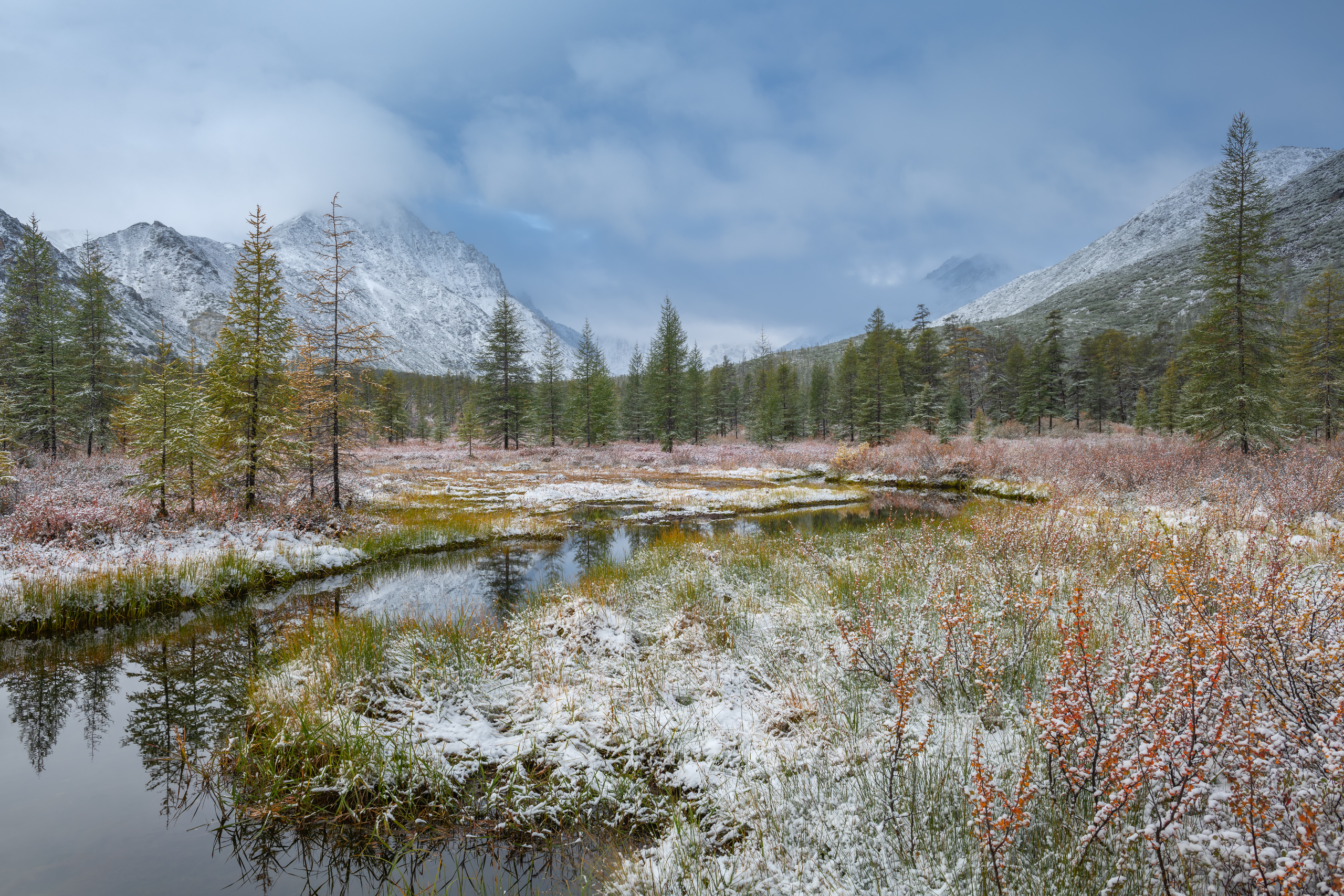 озеро джека лондона, Евдокимов Максим
