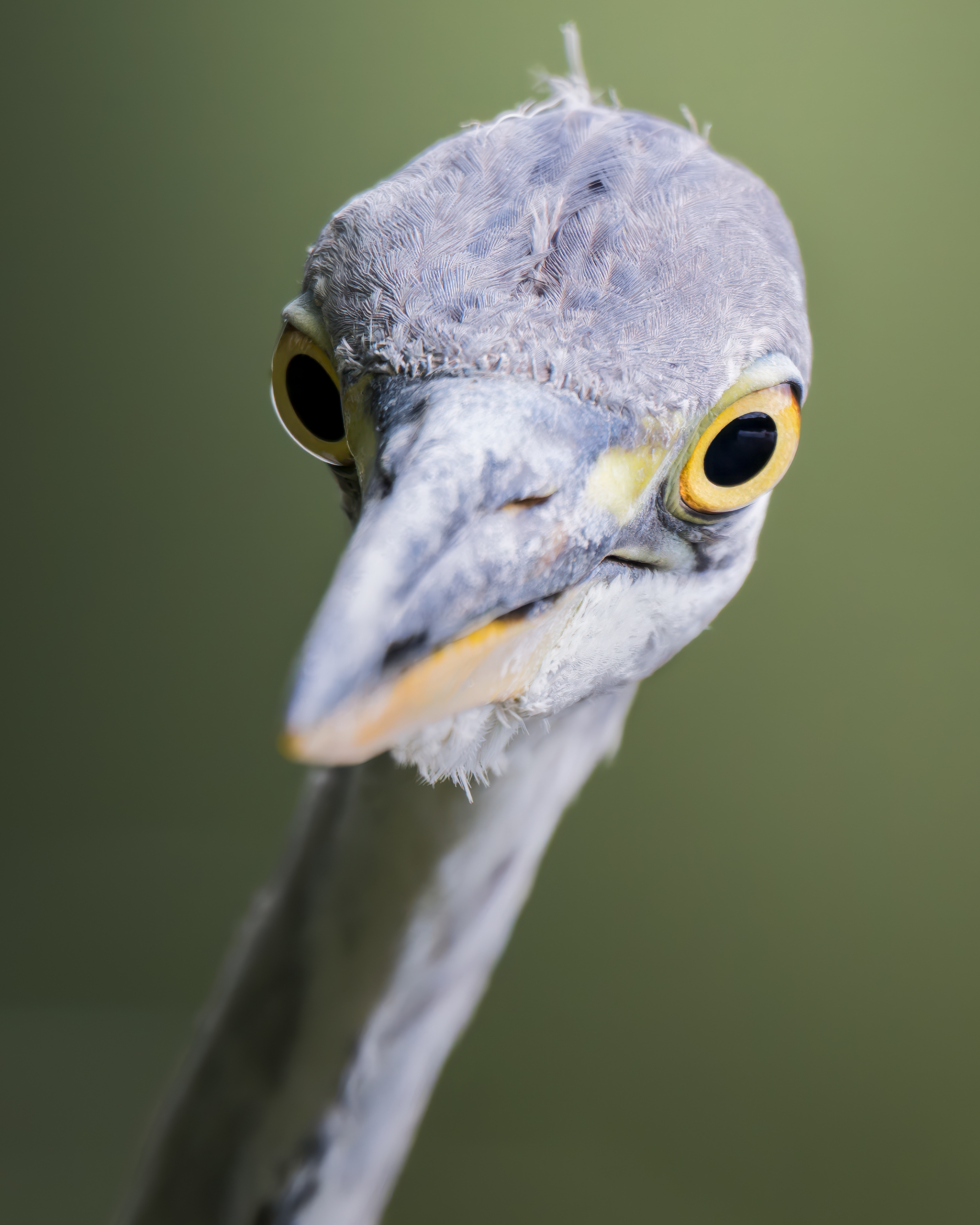 , Поляков Михаил