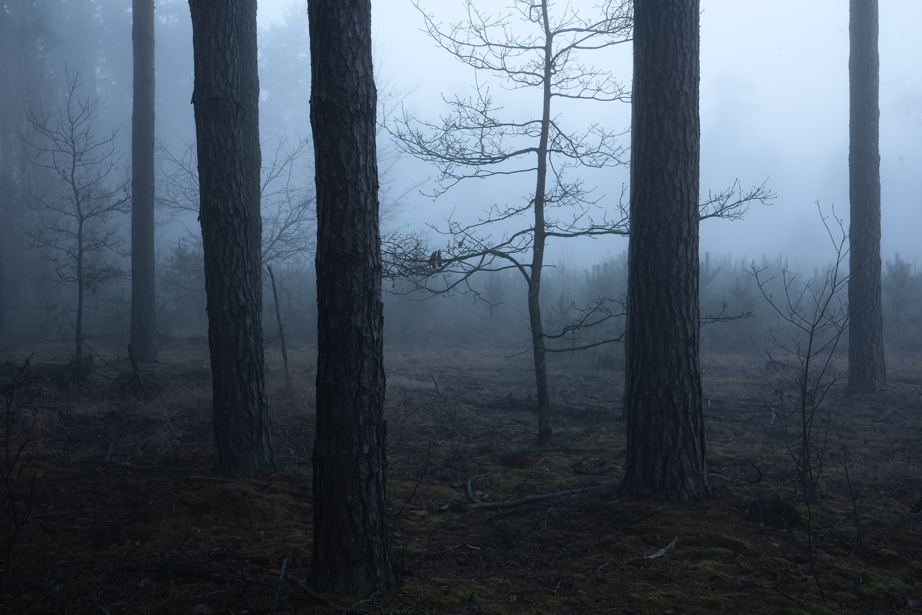 , Захаров Дмитрий