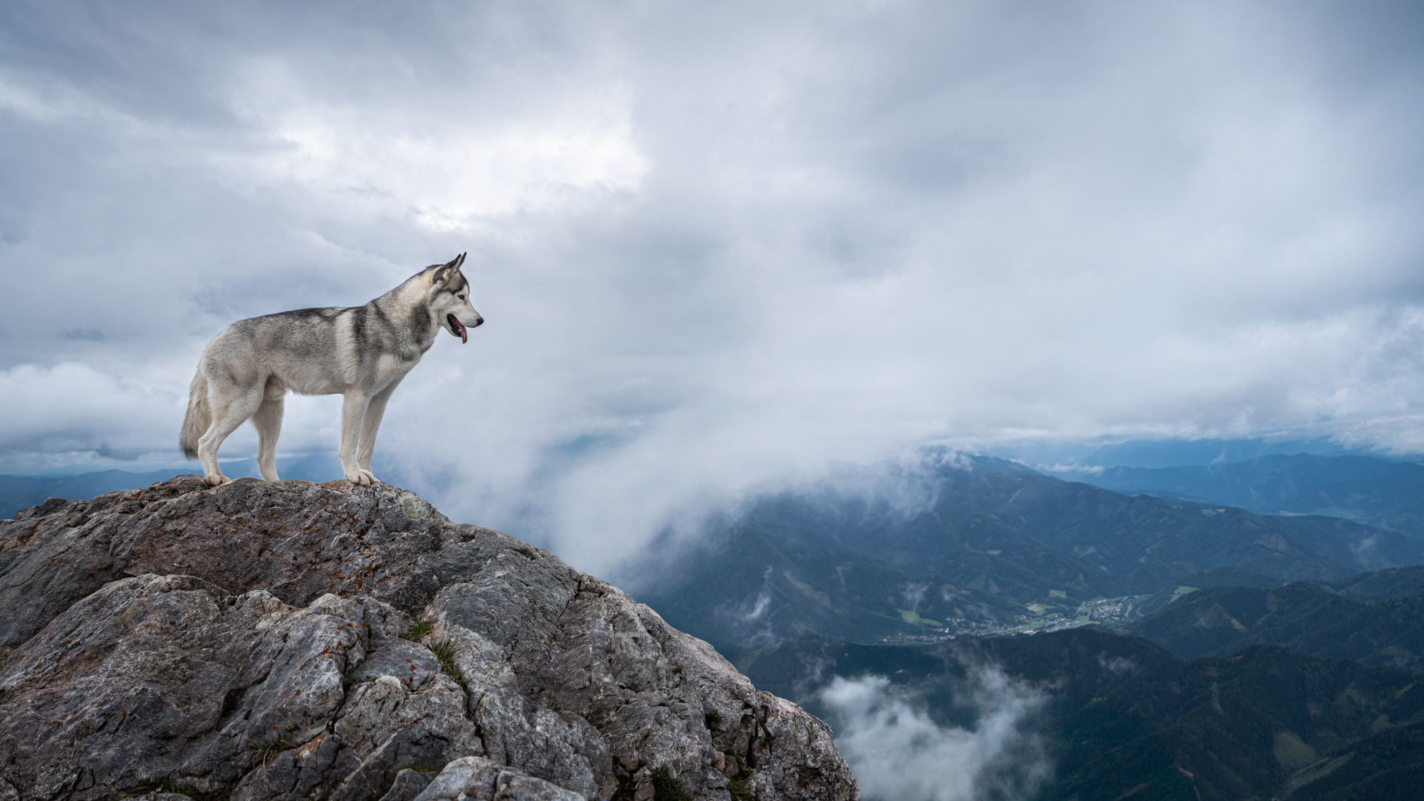 , Krisztián Csalami