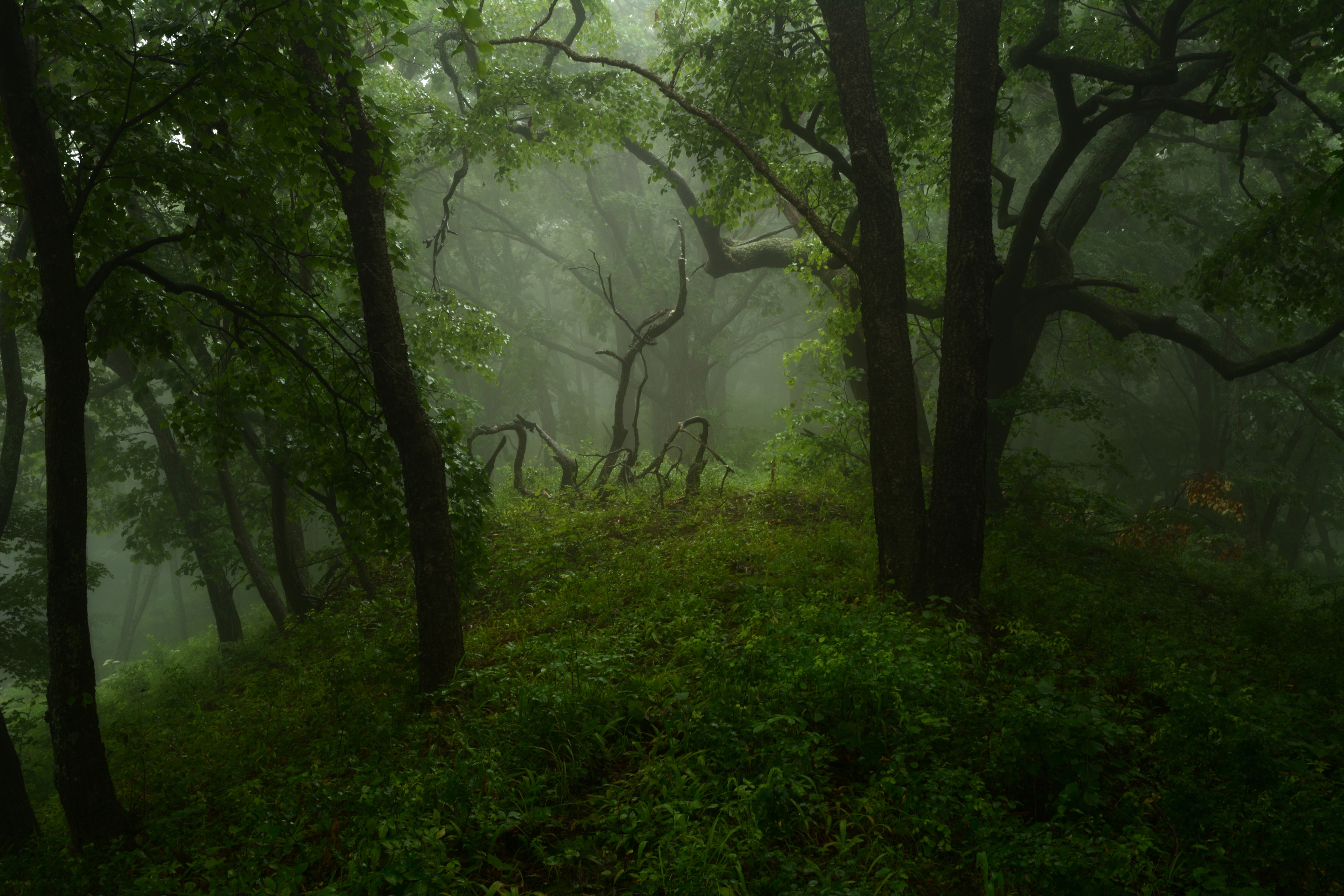 приморье, Едуш Сергей