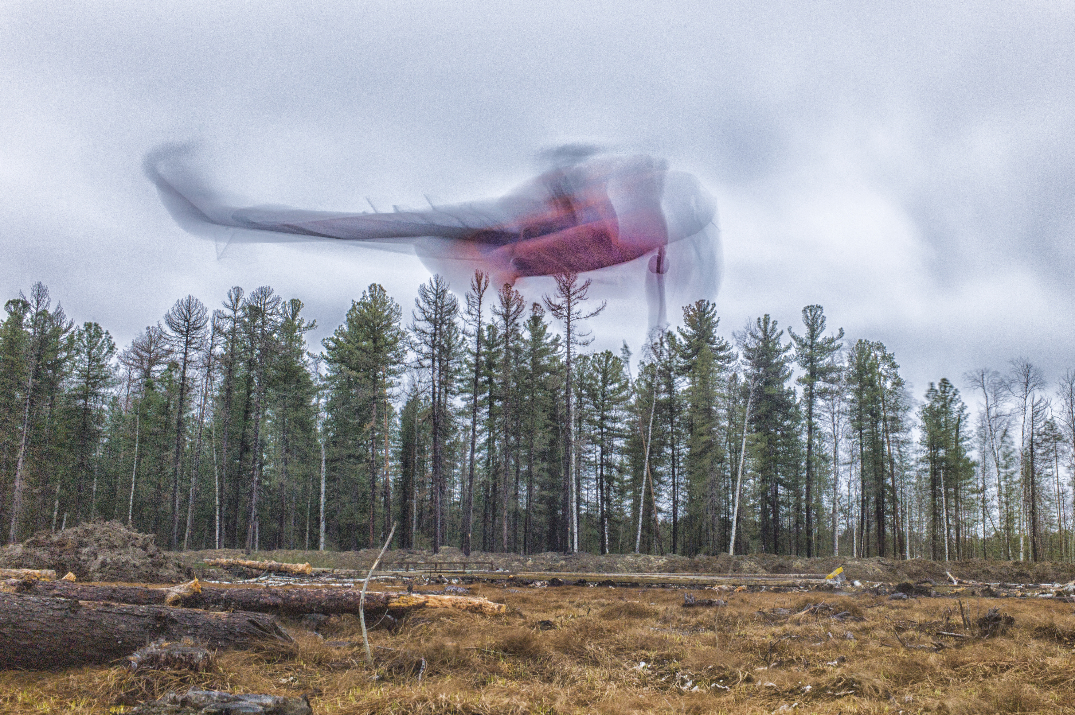 , Дронов Михаил