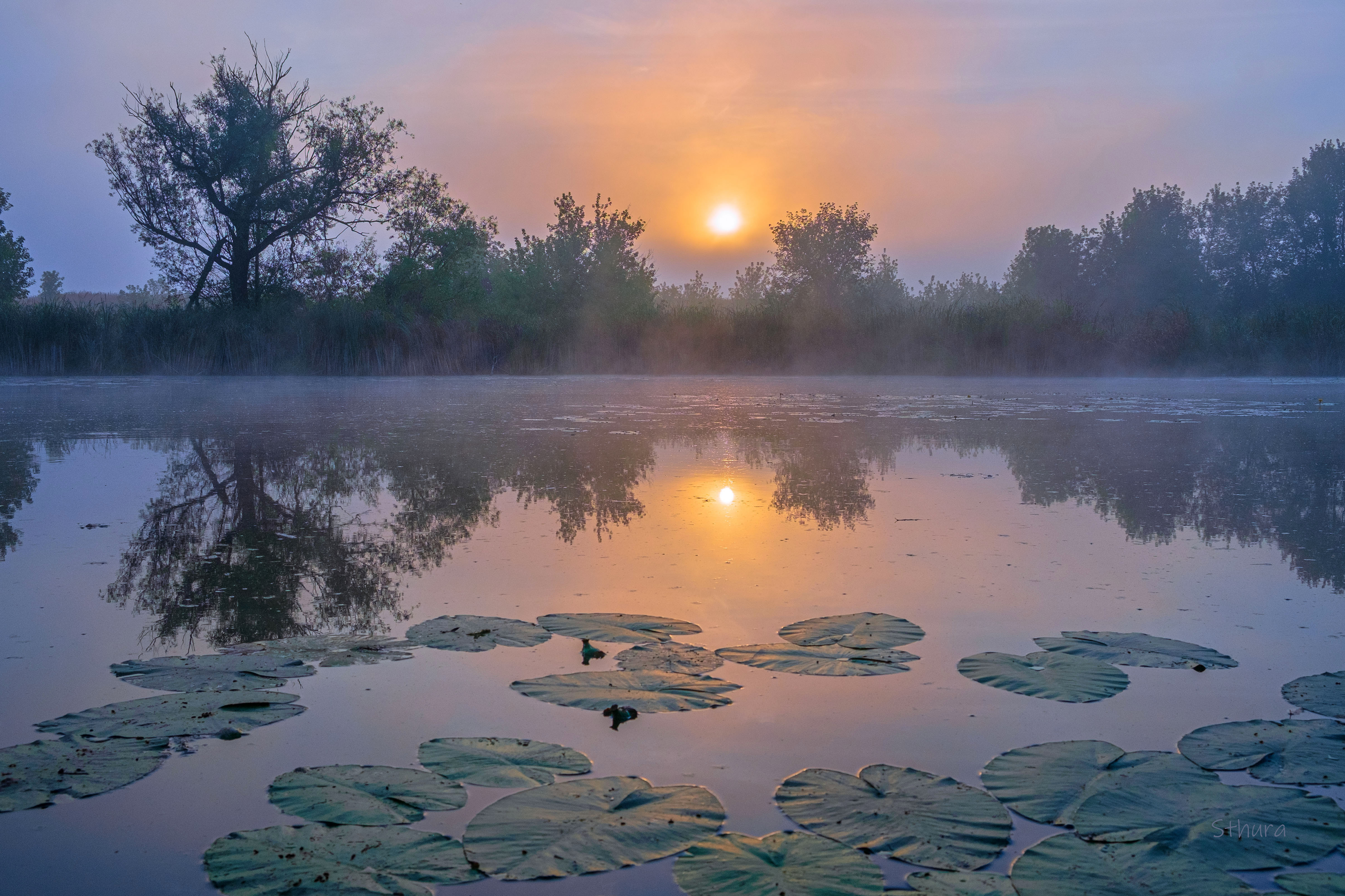 лето озеро рассвет природа пейзаж, Александр Строков