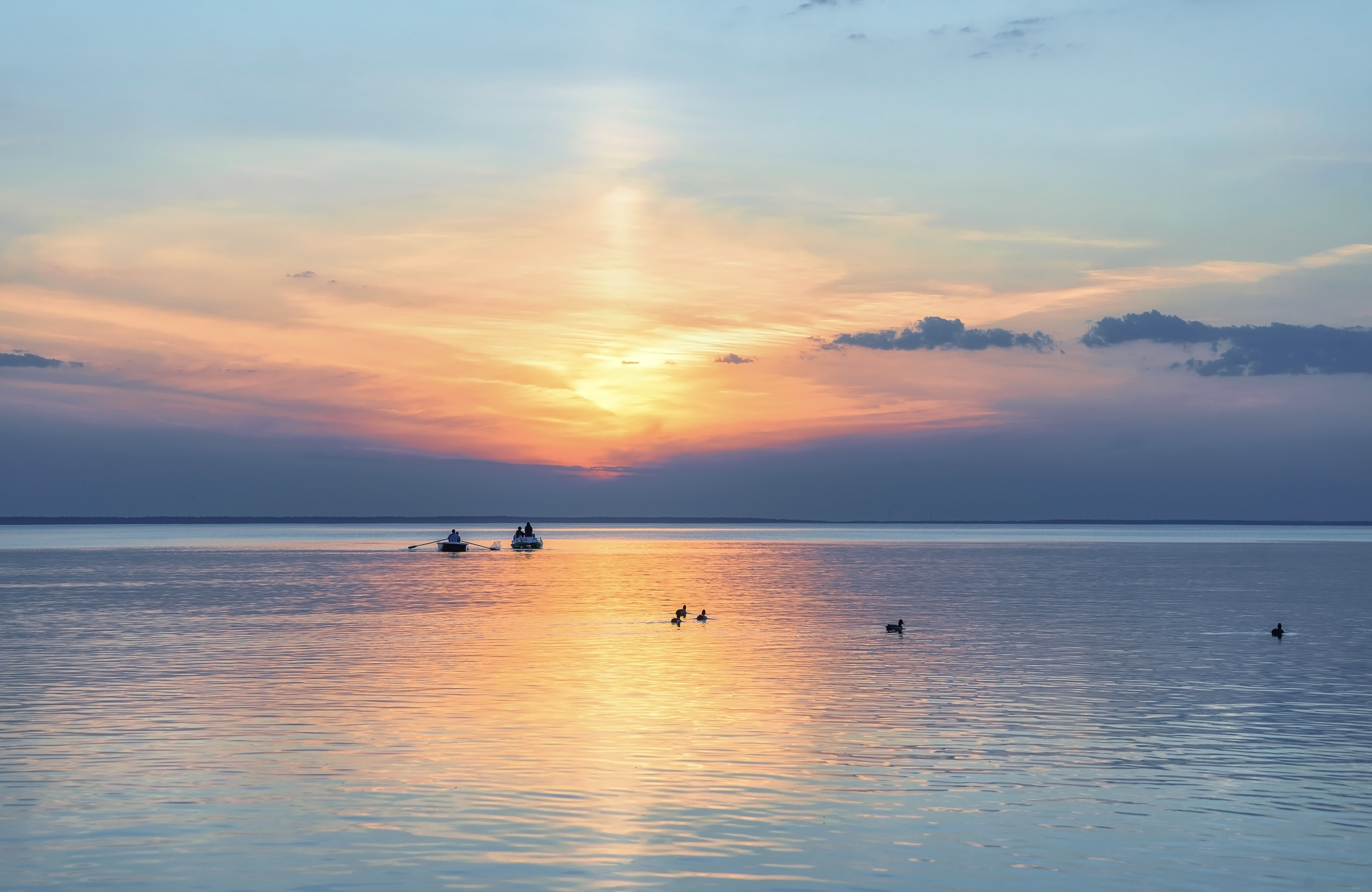 , Панова Зоя