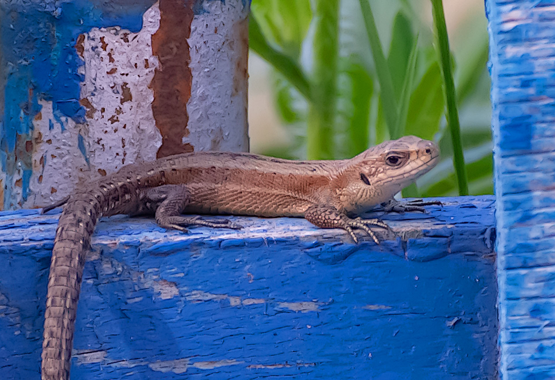 , Пушкин Сергей