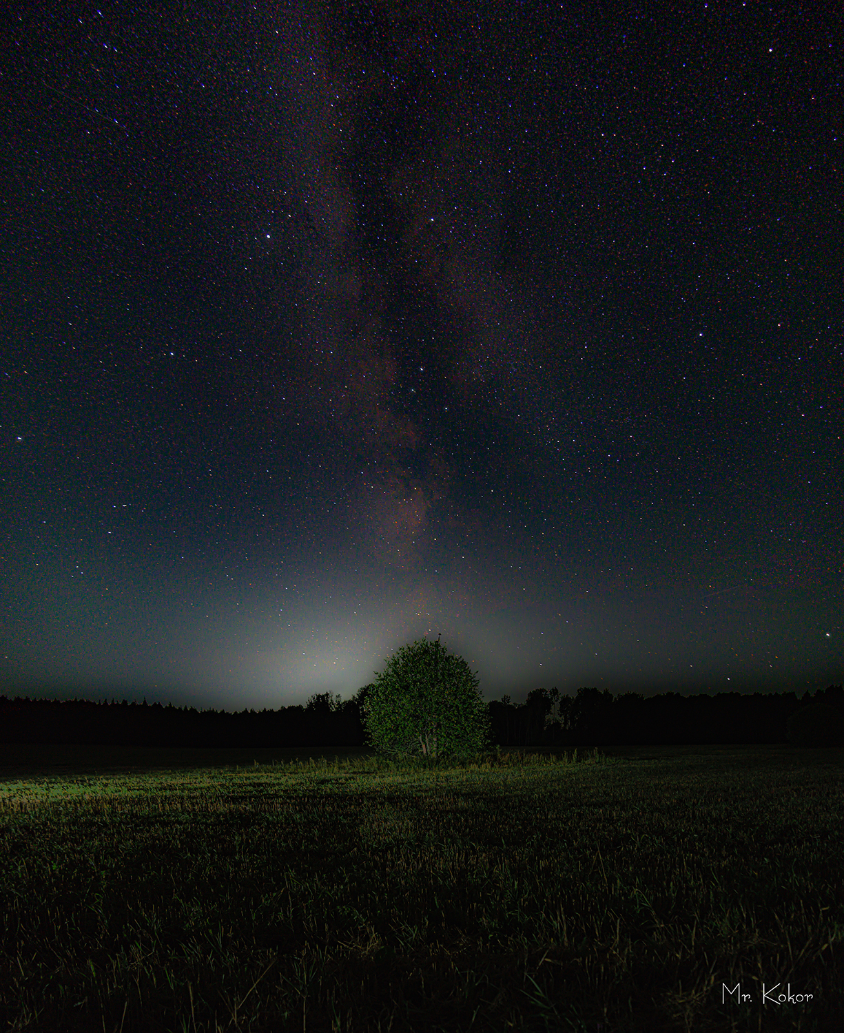 , Кокорин Алексей
