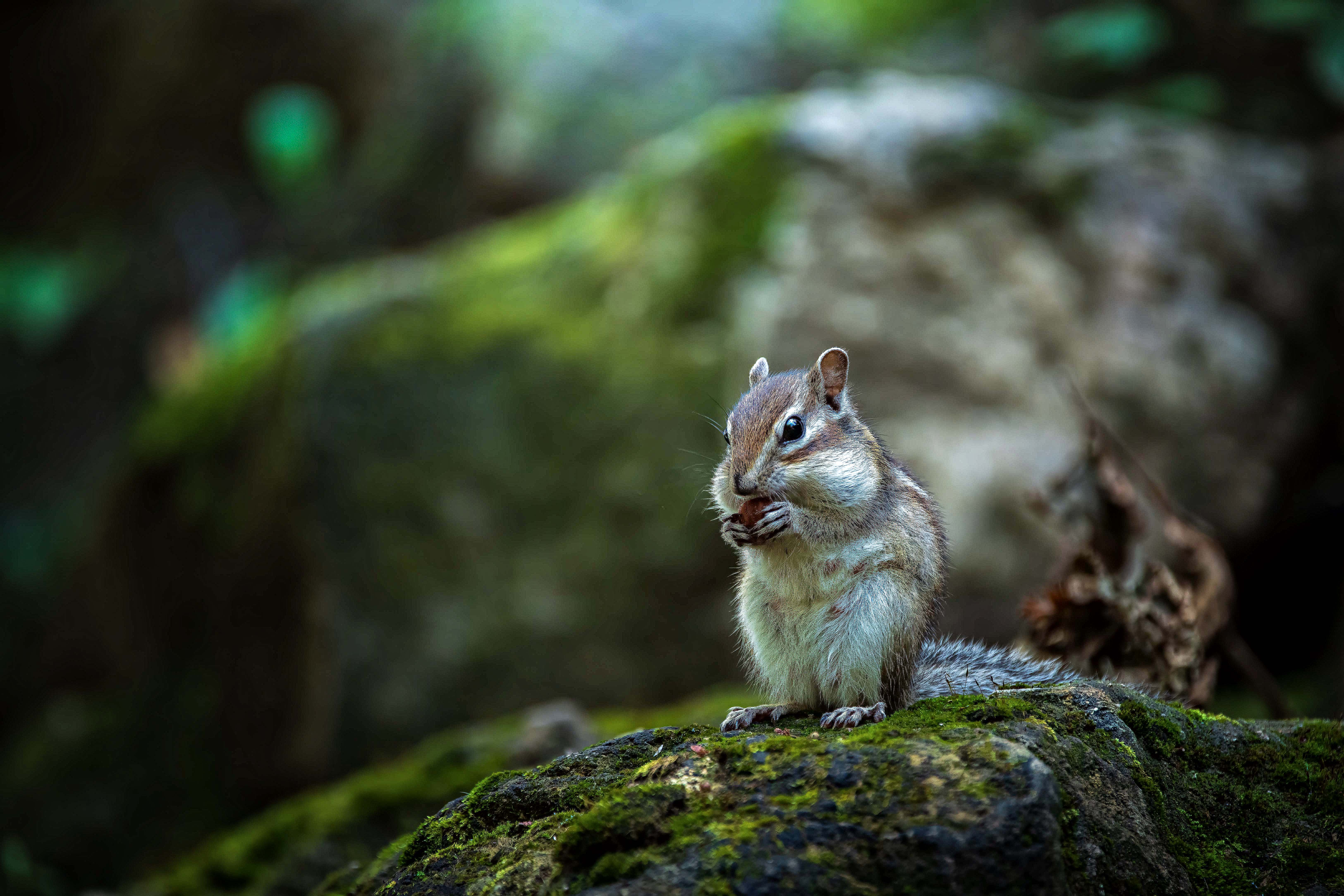 , Павел Ныриков