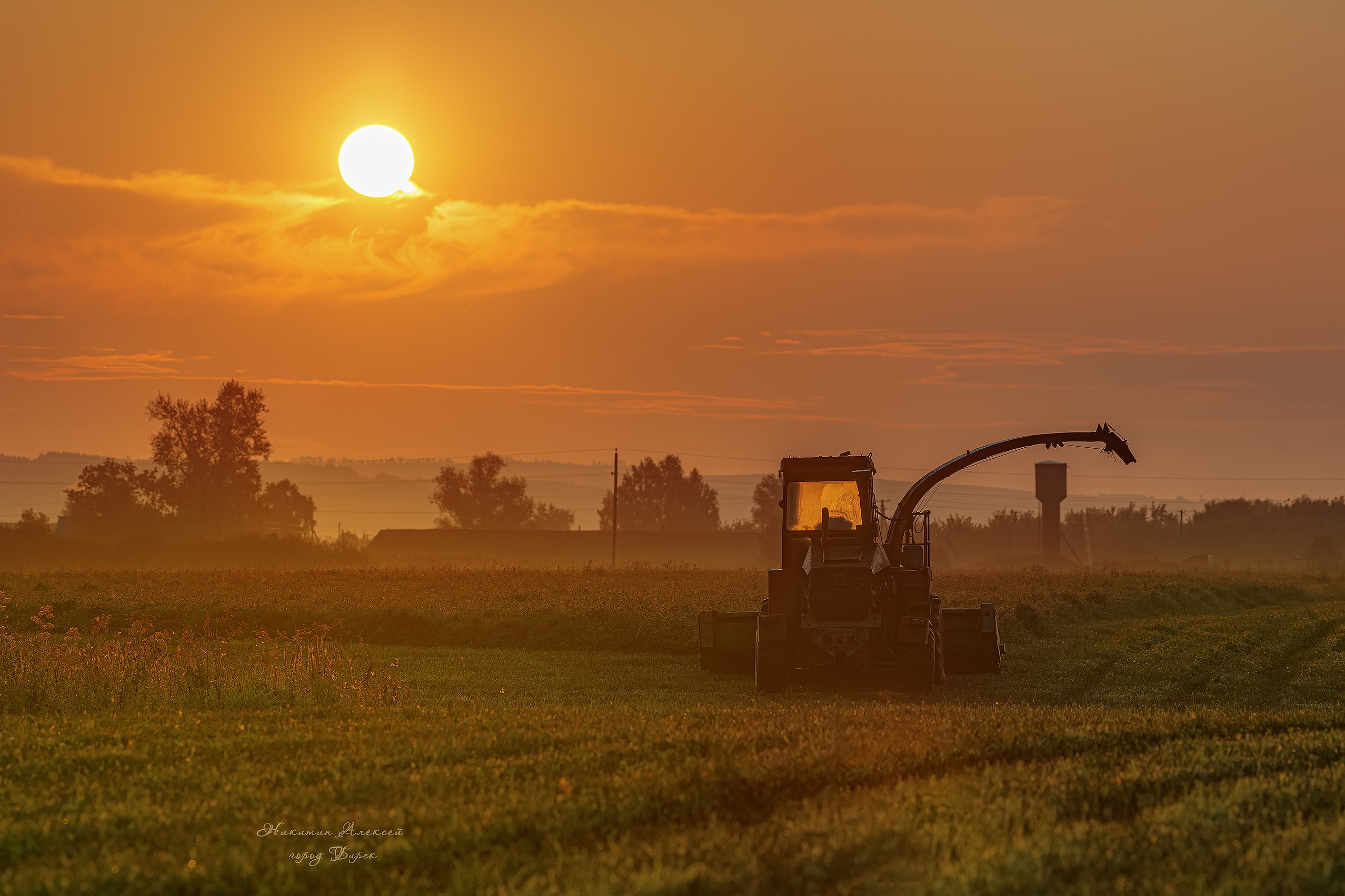 , Никитин Алексей