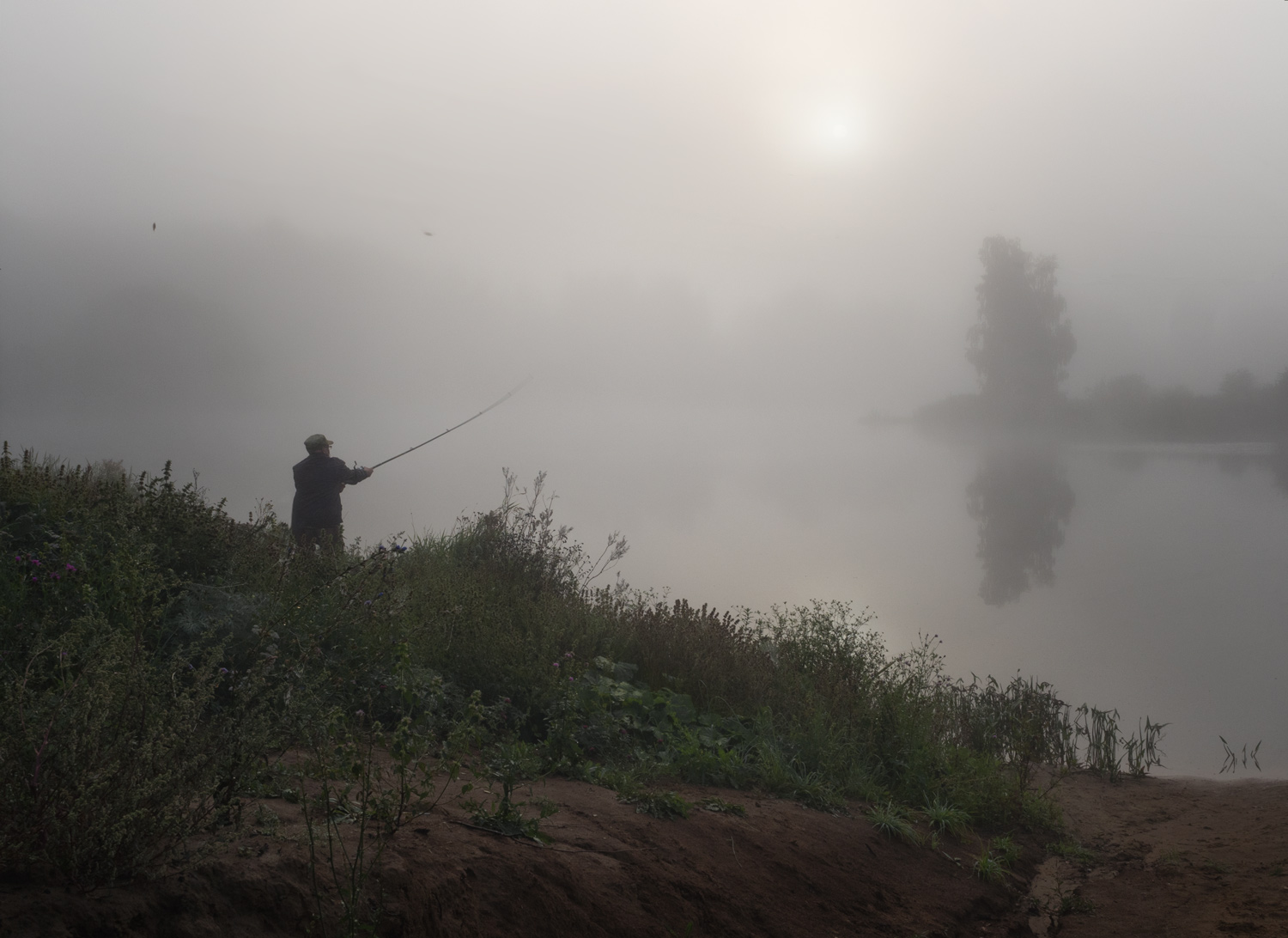 лес, свет, утро, природа рыбак, Баранов Олег