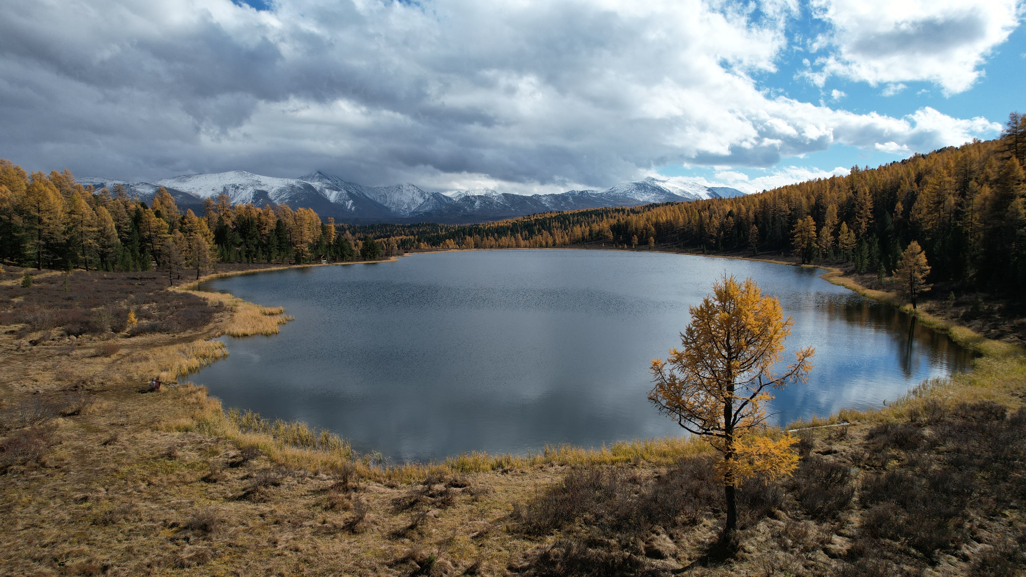 , Константин Буркин