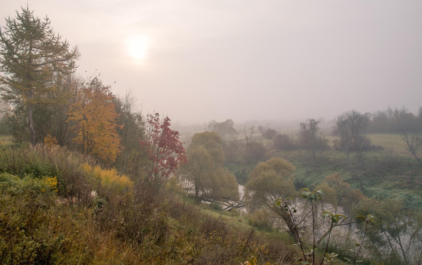 утро, над водой, туман, восход солнца, утренний свет,сентябрь, осень, каспля, смоленская область, россия, пейзаж, landskape, nature, river, fog, morning, dawn, Лидия Киприч
