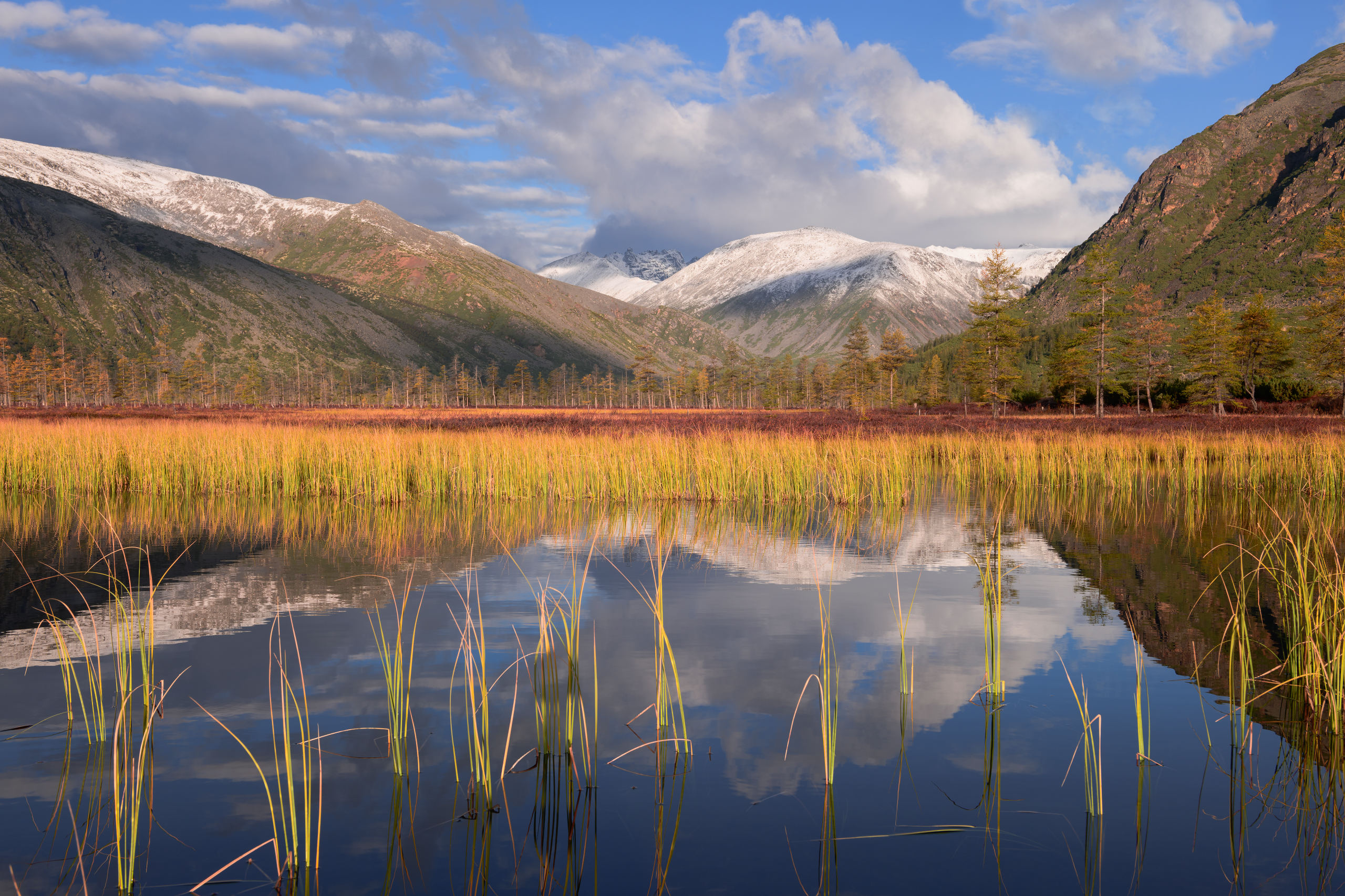 озеро джека лондона, Евдокимов Максим
