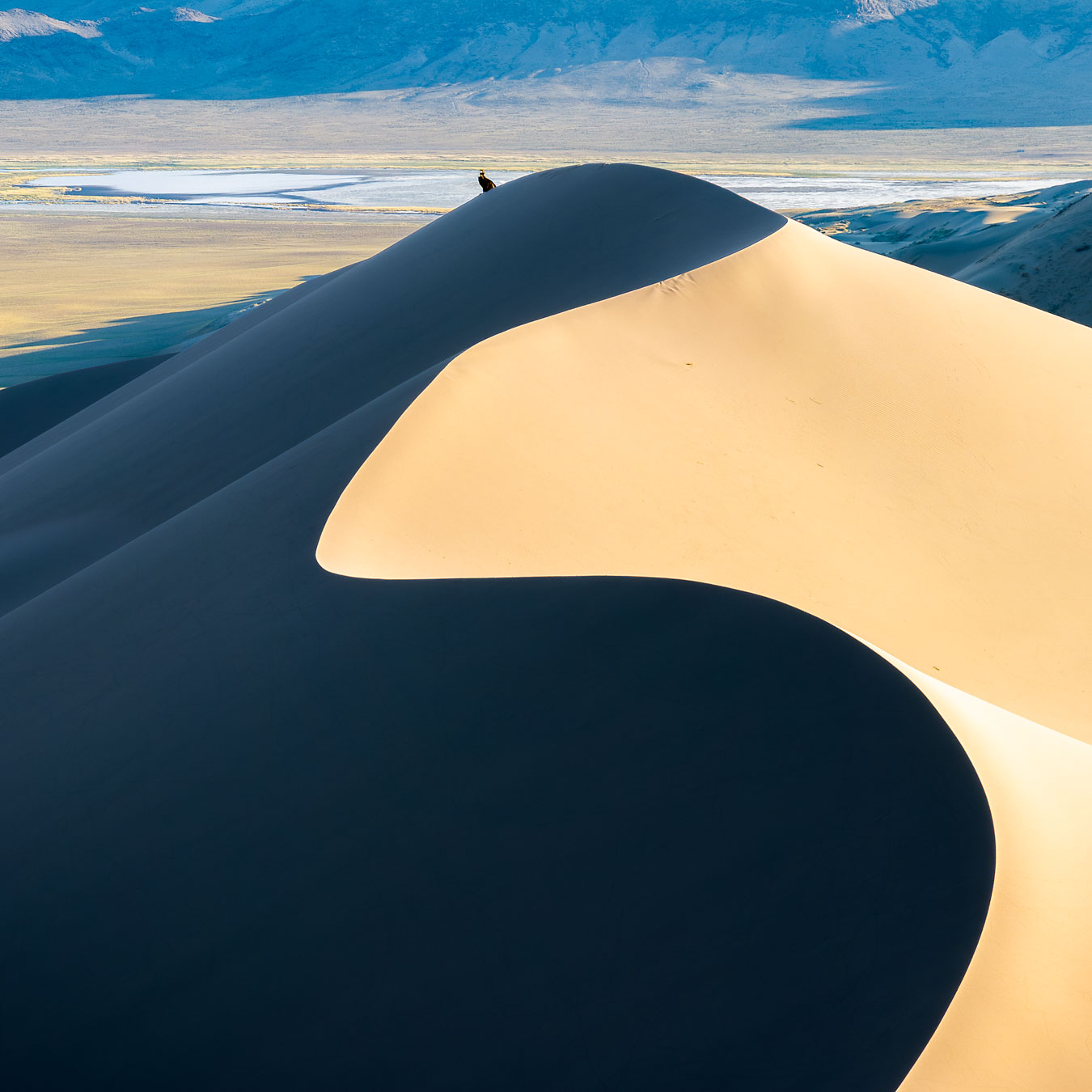 , Бушков Евгений