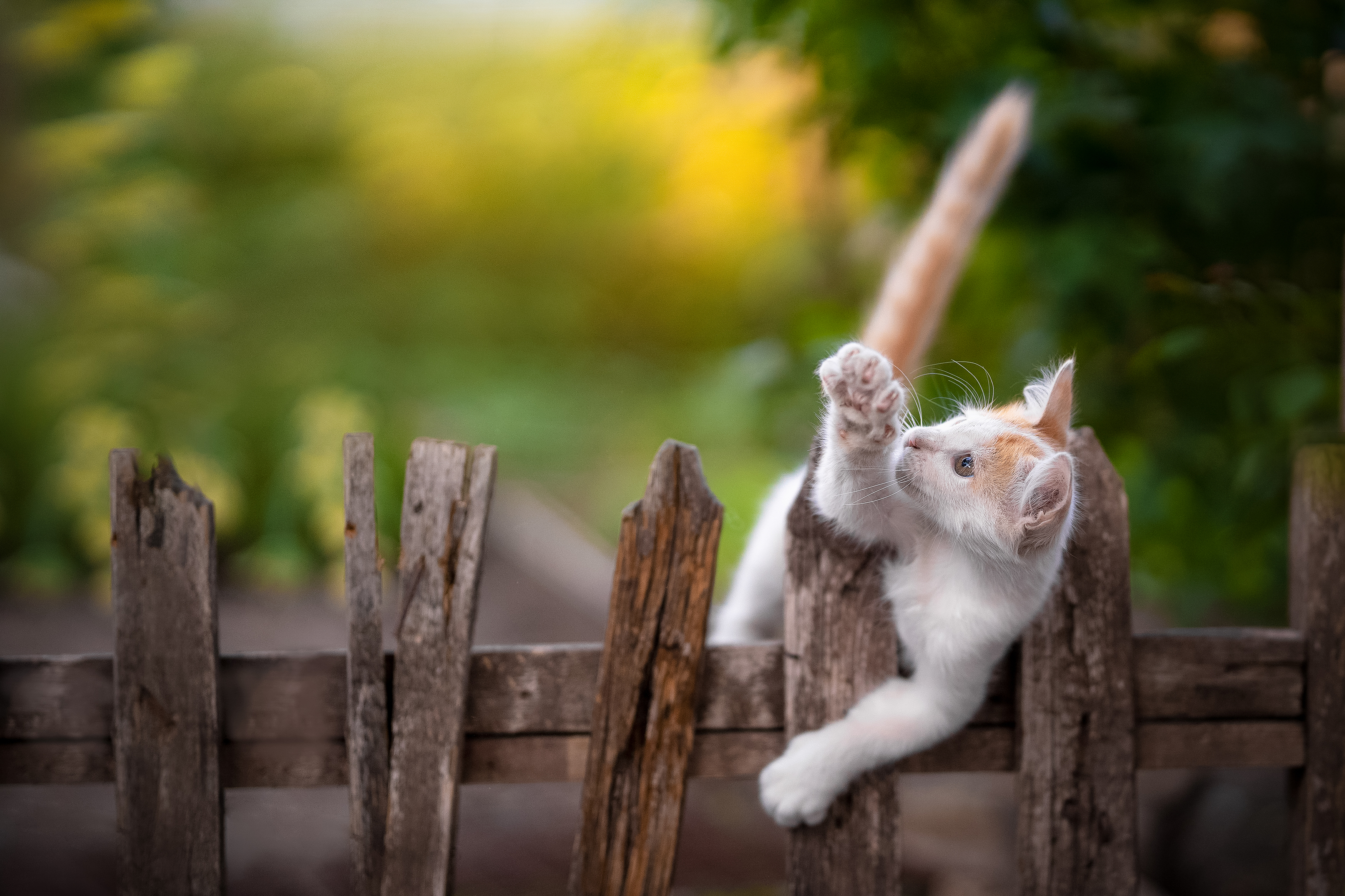 , Коротун Юрий